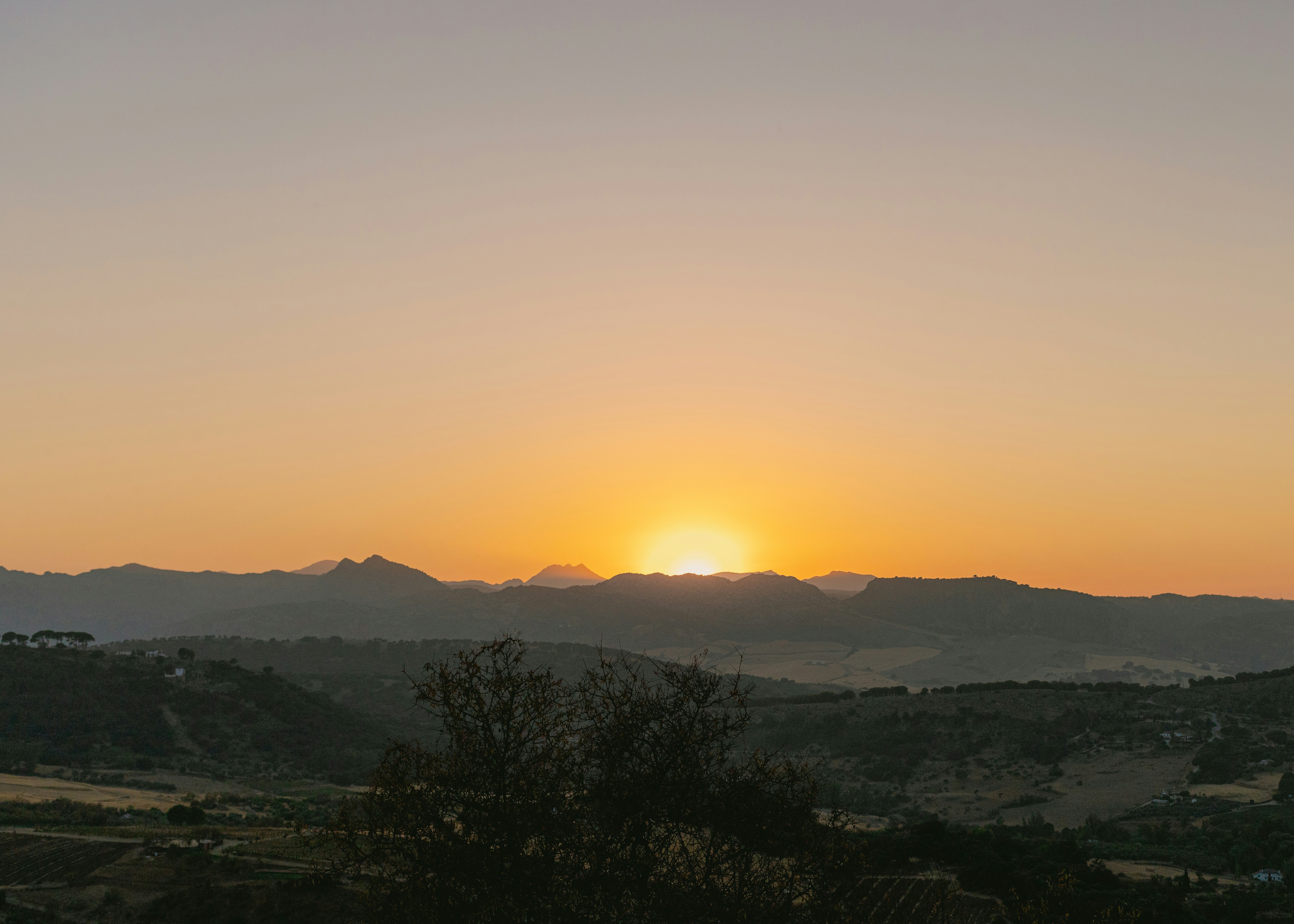 Photo by juliamatuzova