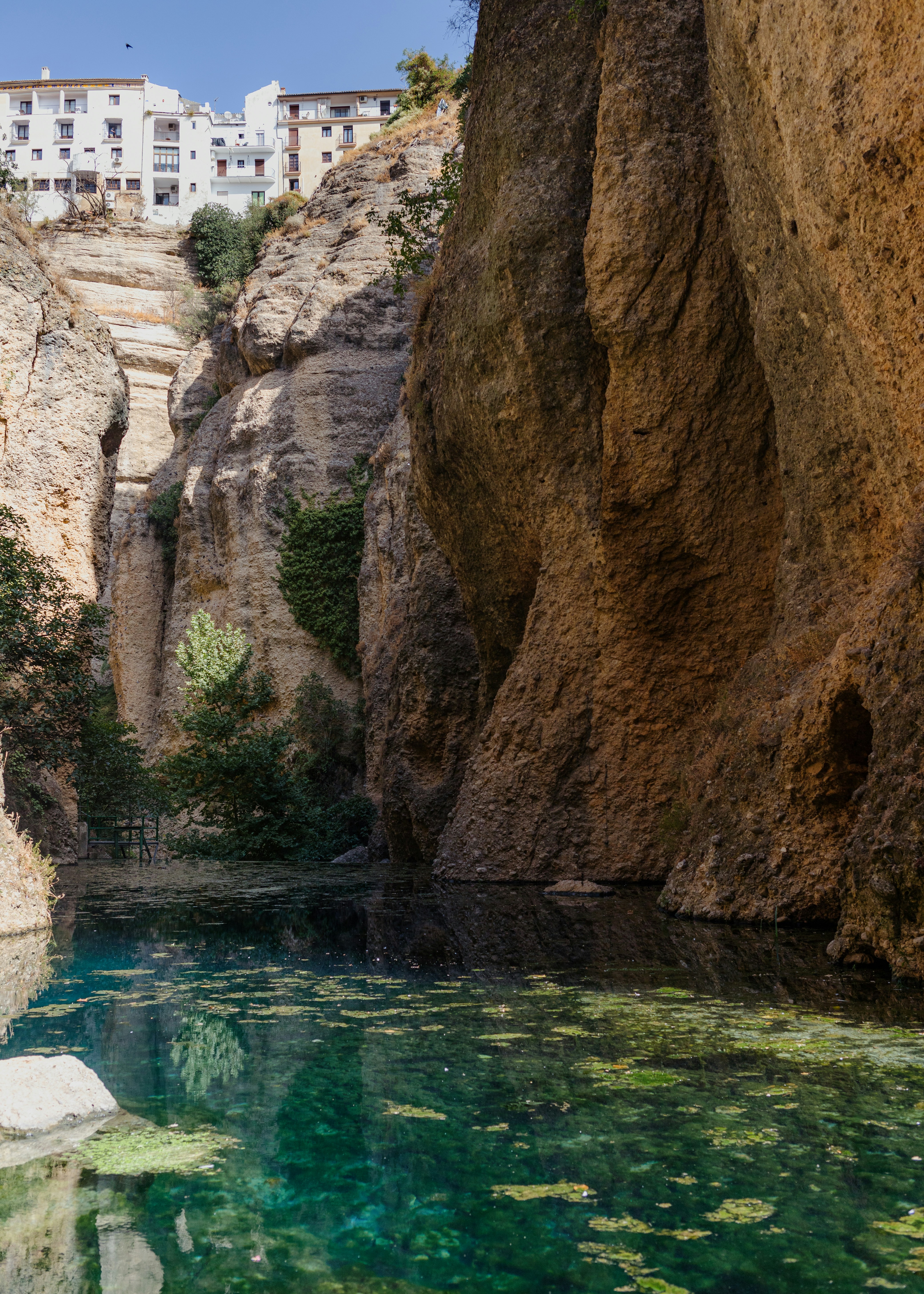 Choose from a curated selection of water wallpapers for your mobile and desktop screens. Always free on Unsplash.