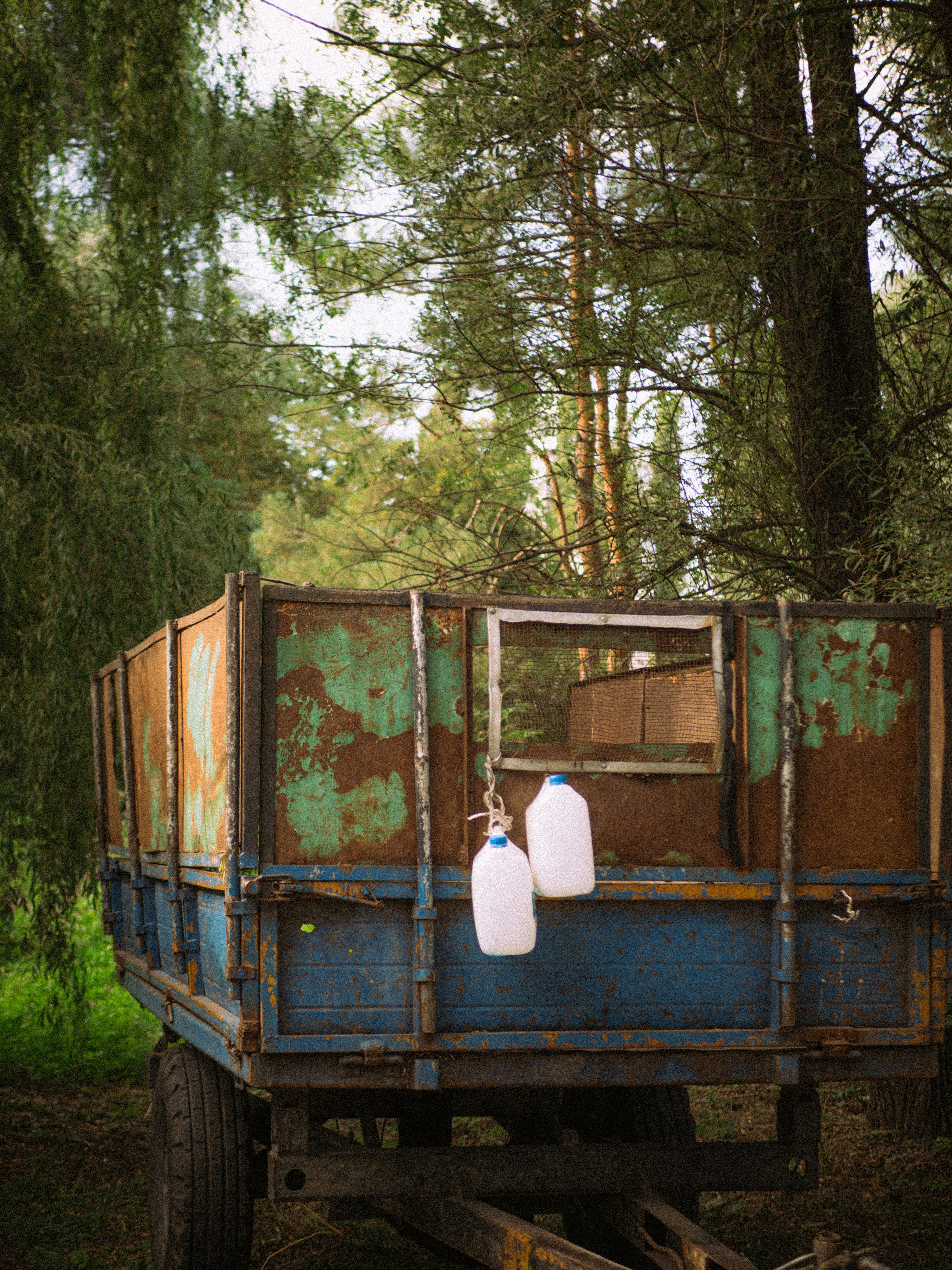 A blue truck with two jugs on the back of it