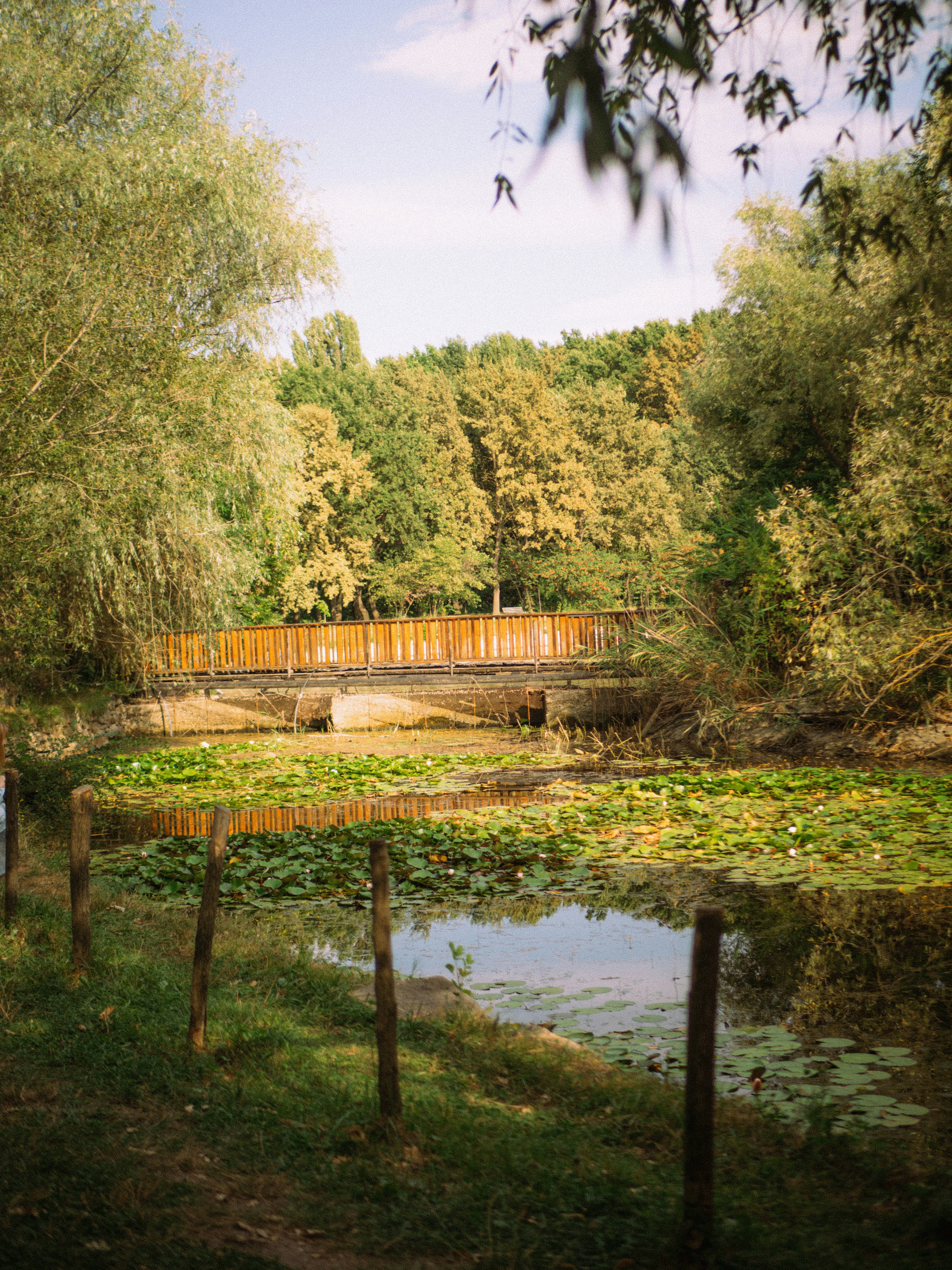 Photo by angelanedelcu1