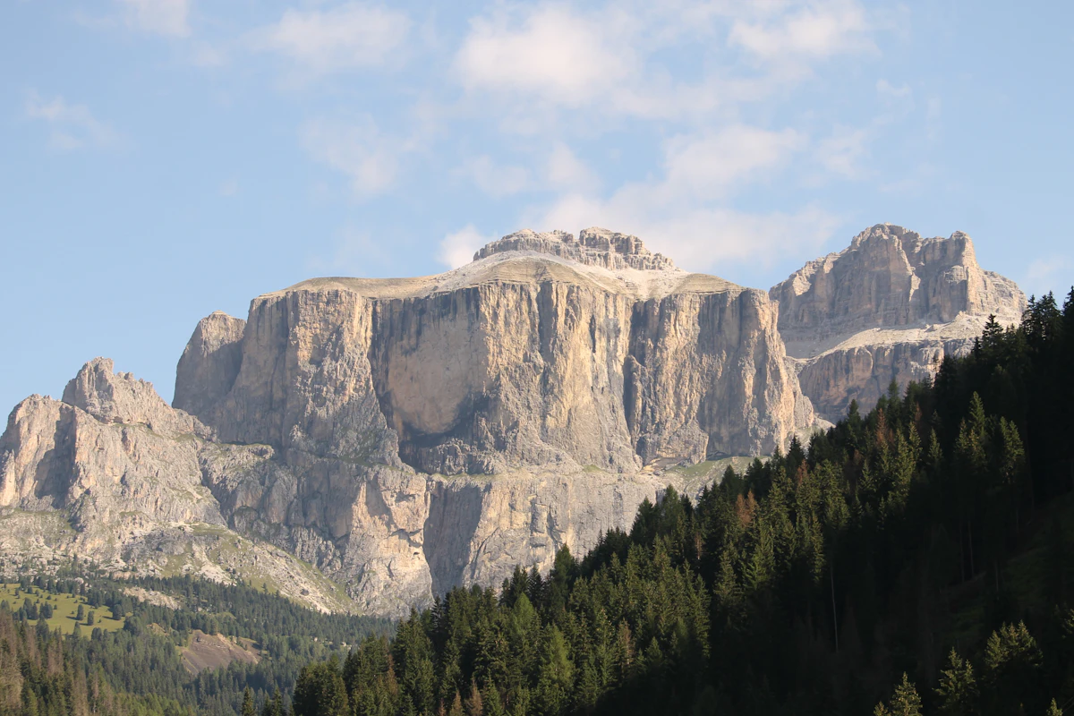 Pale limestone cliffs rising above a pine forest near Canazei