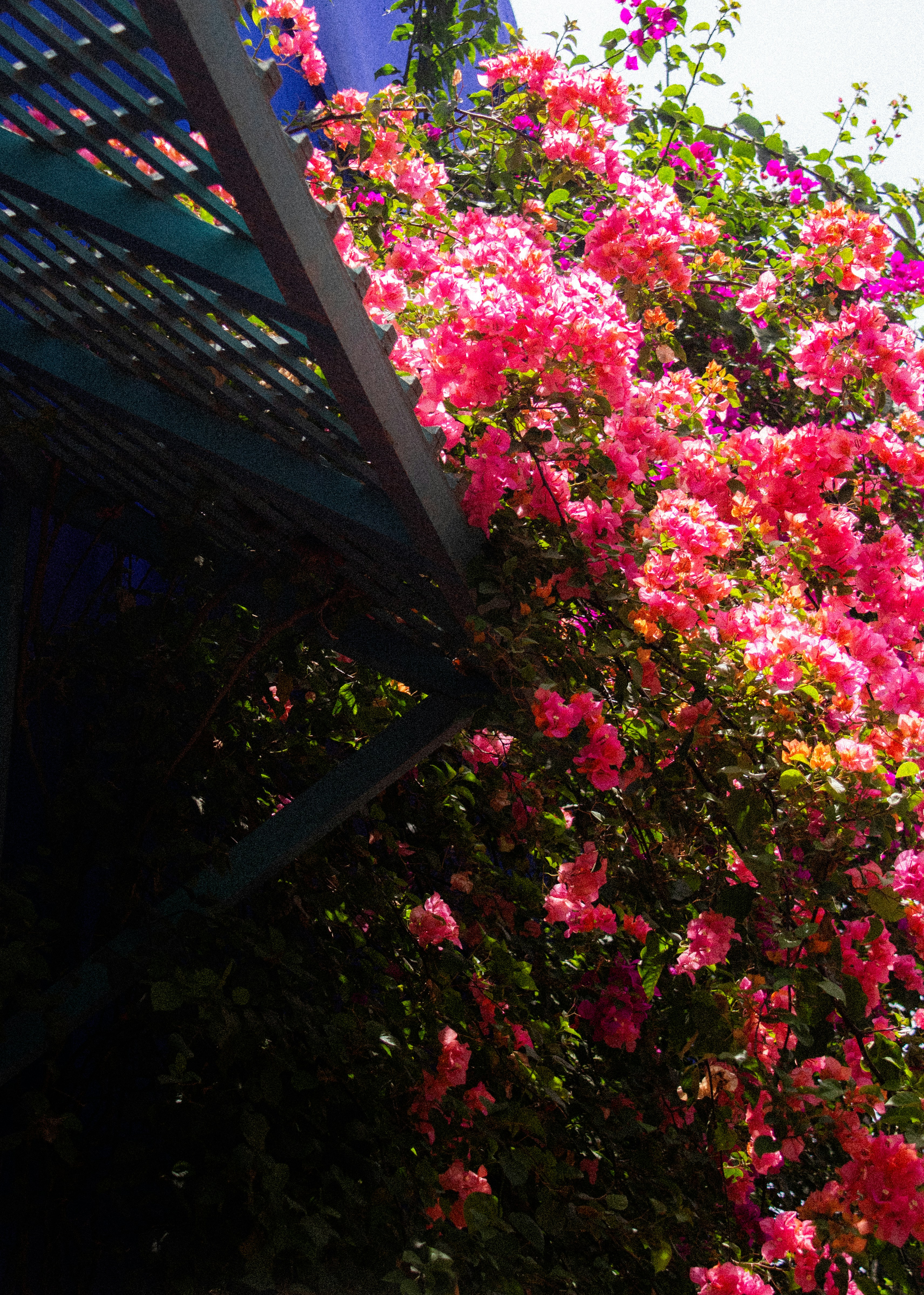 Photo by woomantsing