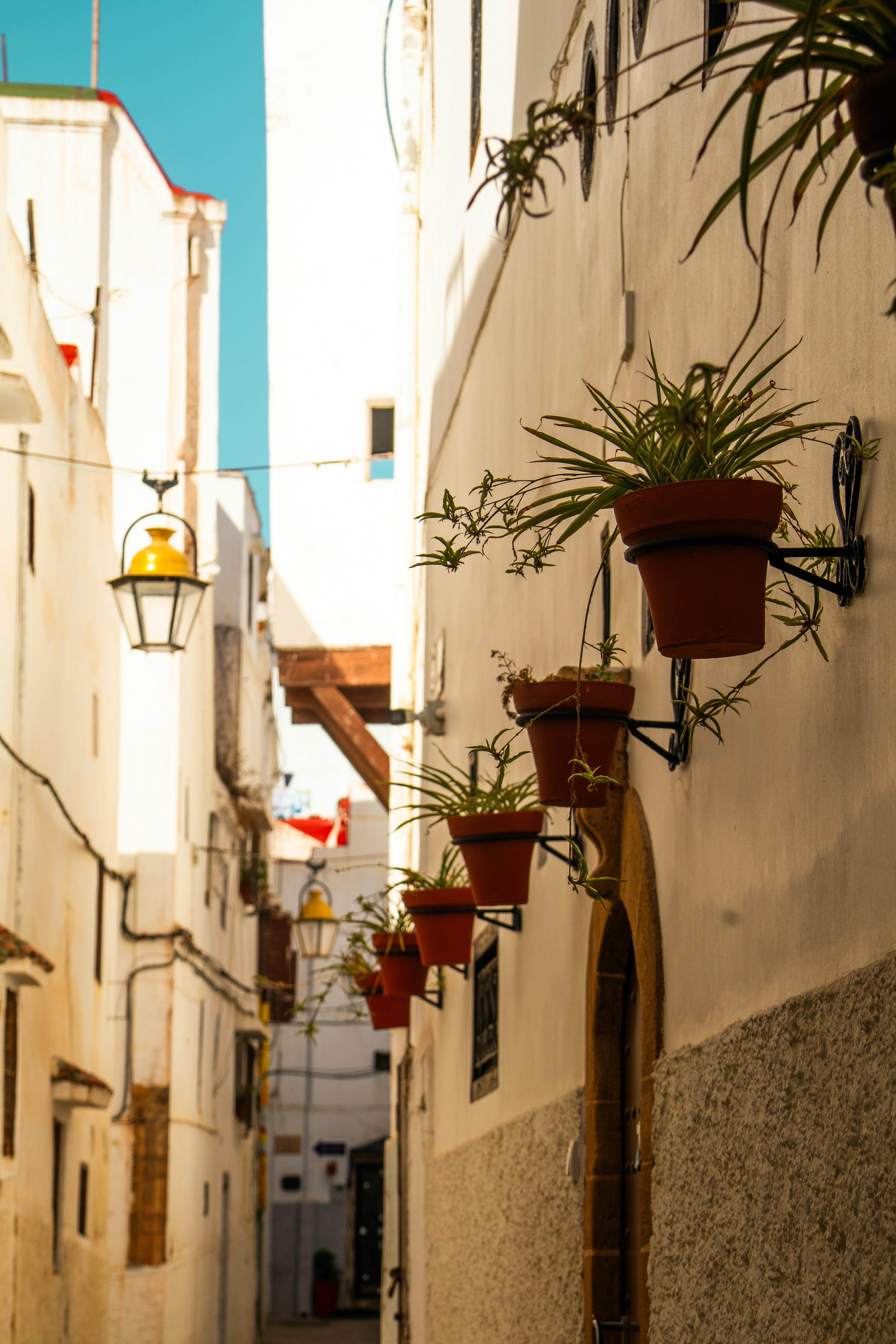 Photo by woomantsing