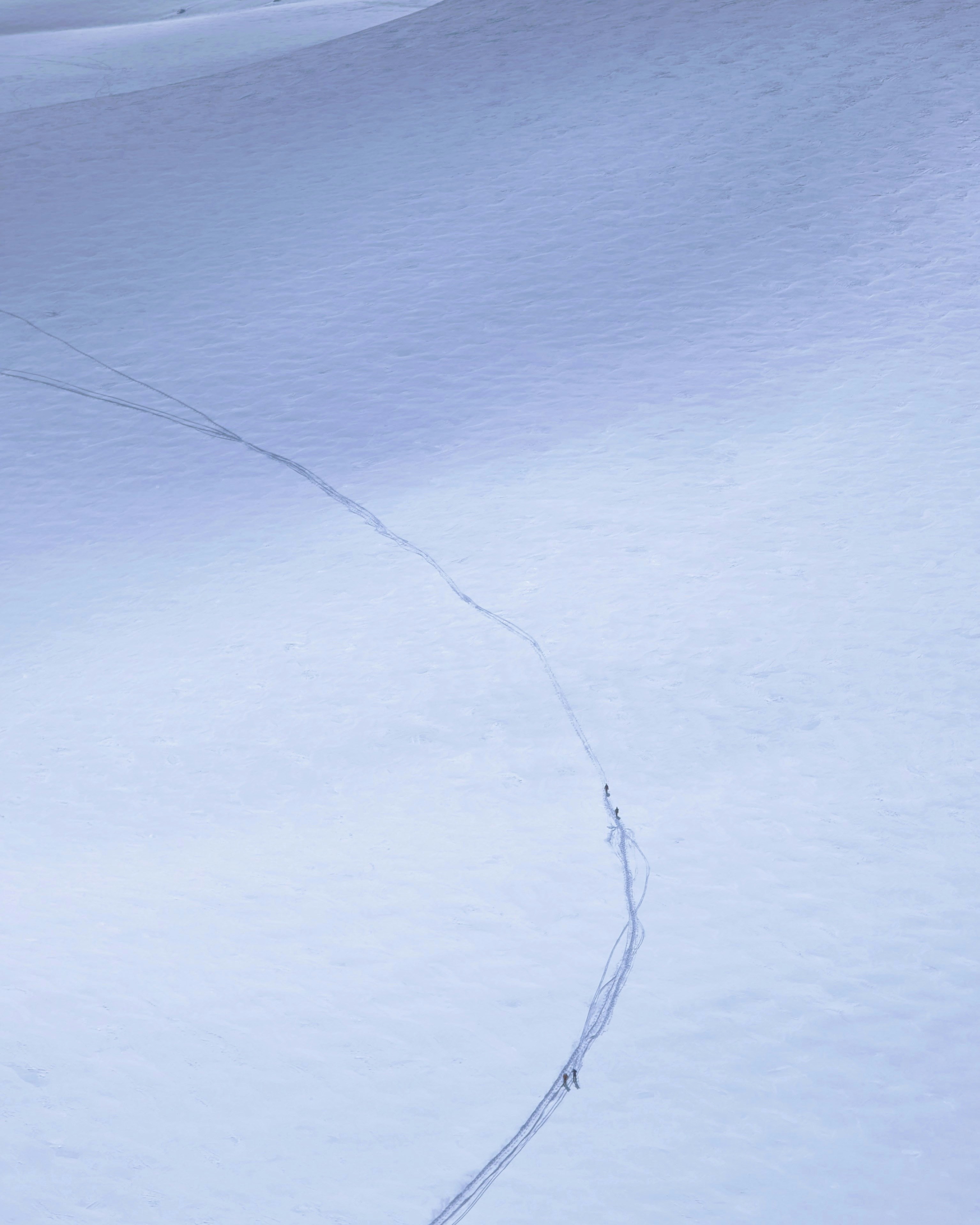 Photo by joaoopinheiro_