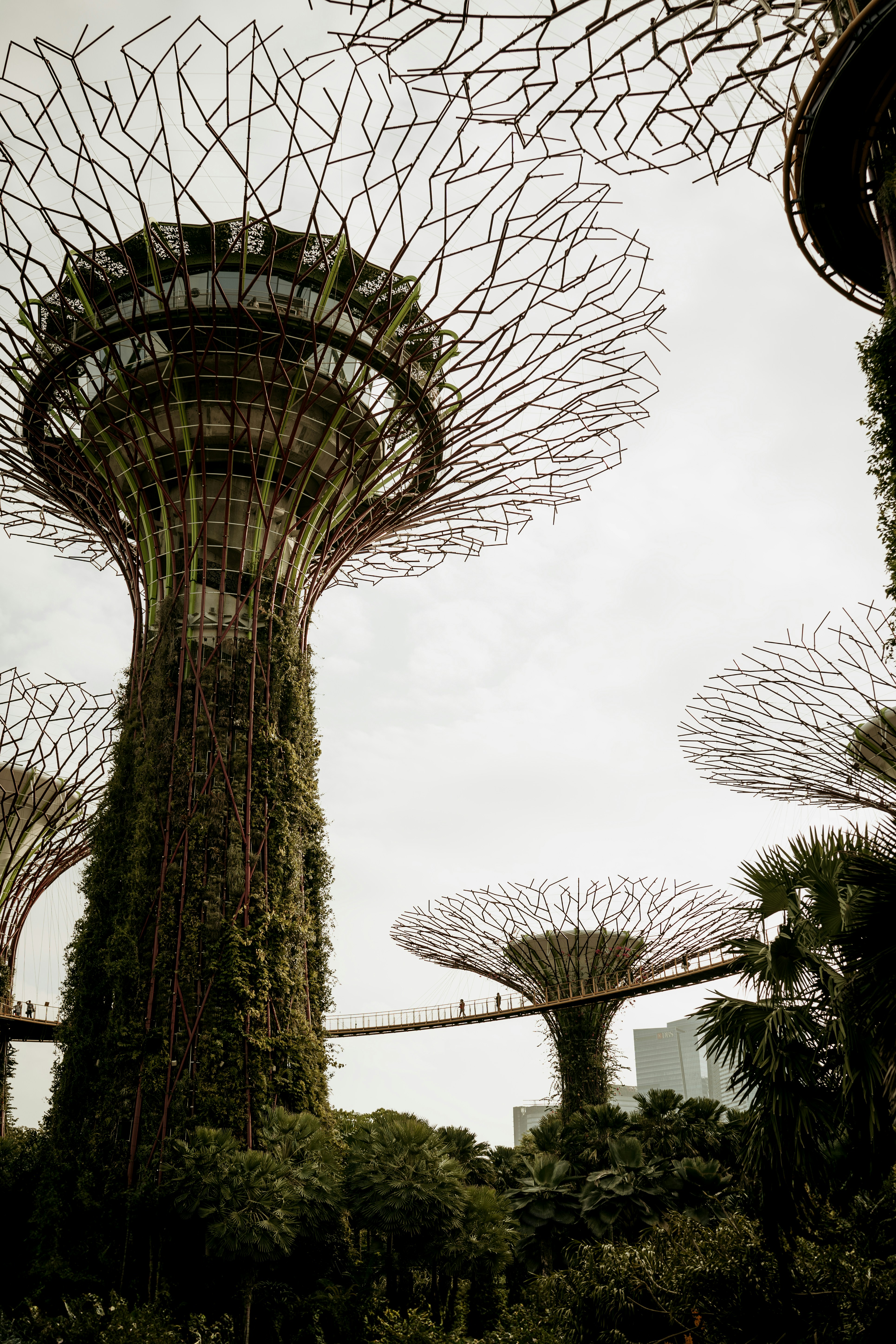 Photo by dubai_love_story