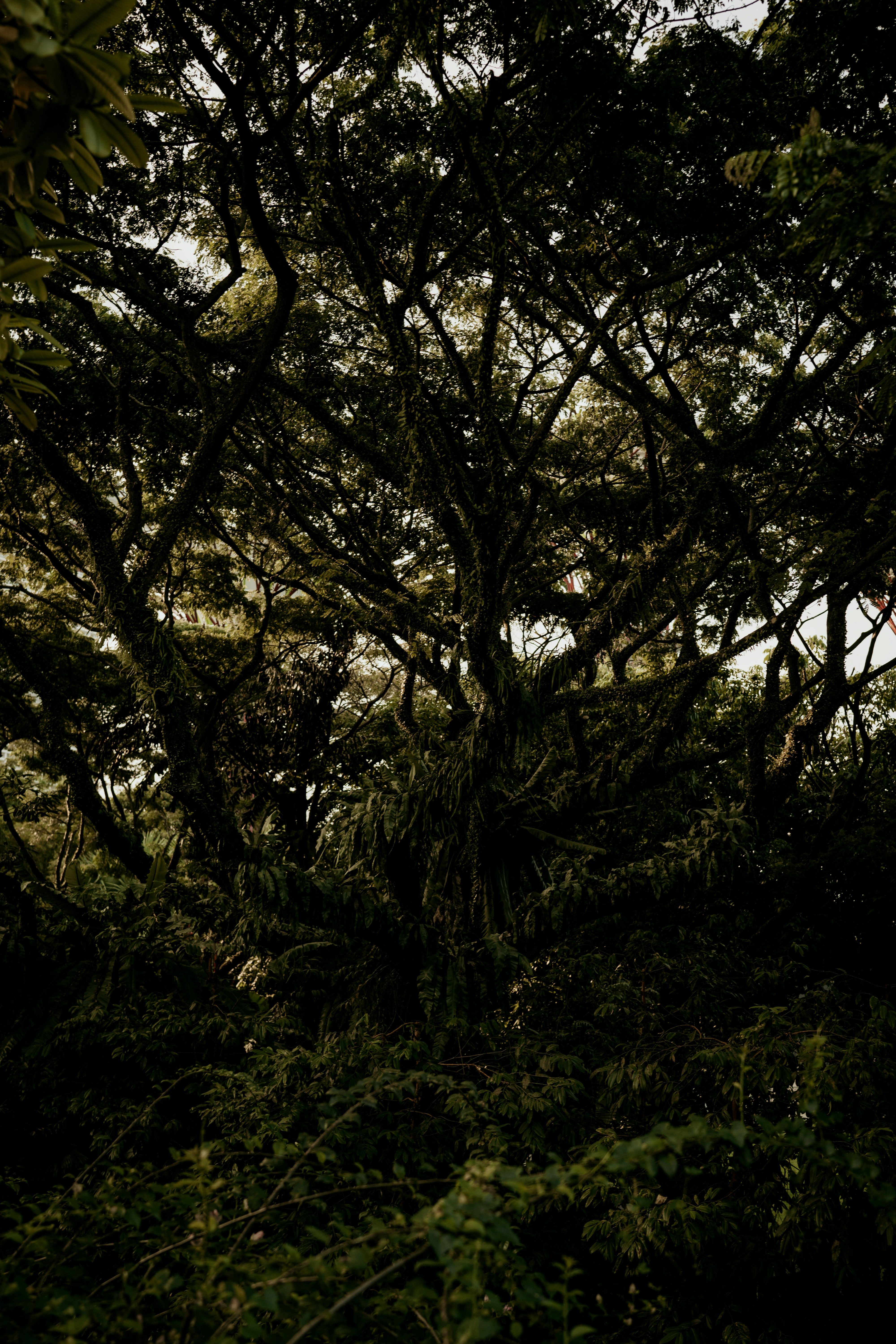 Photo by dubai_love_story