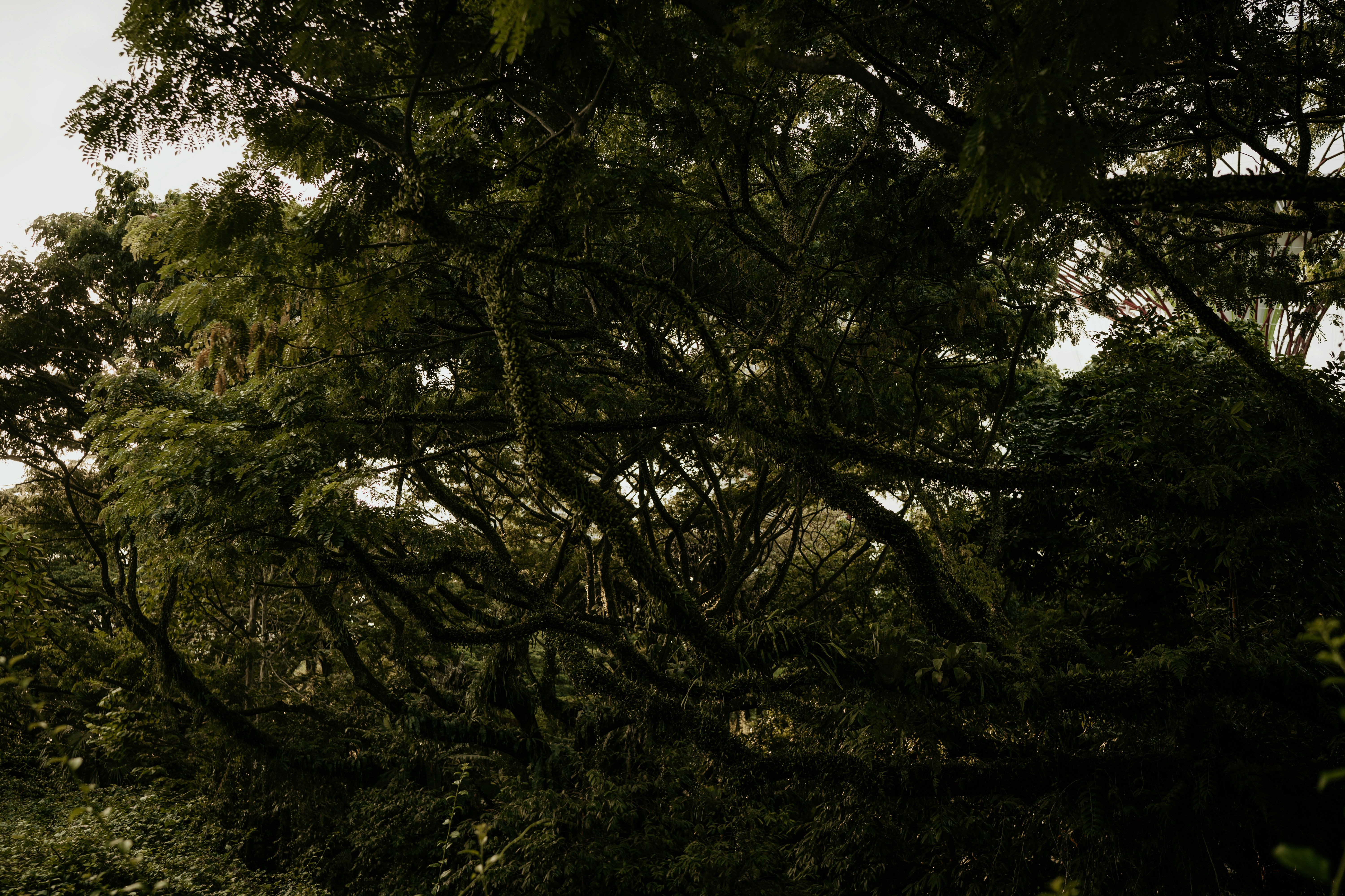 Photo by dubai_love_story