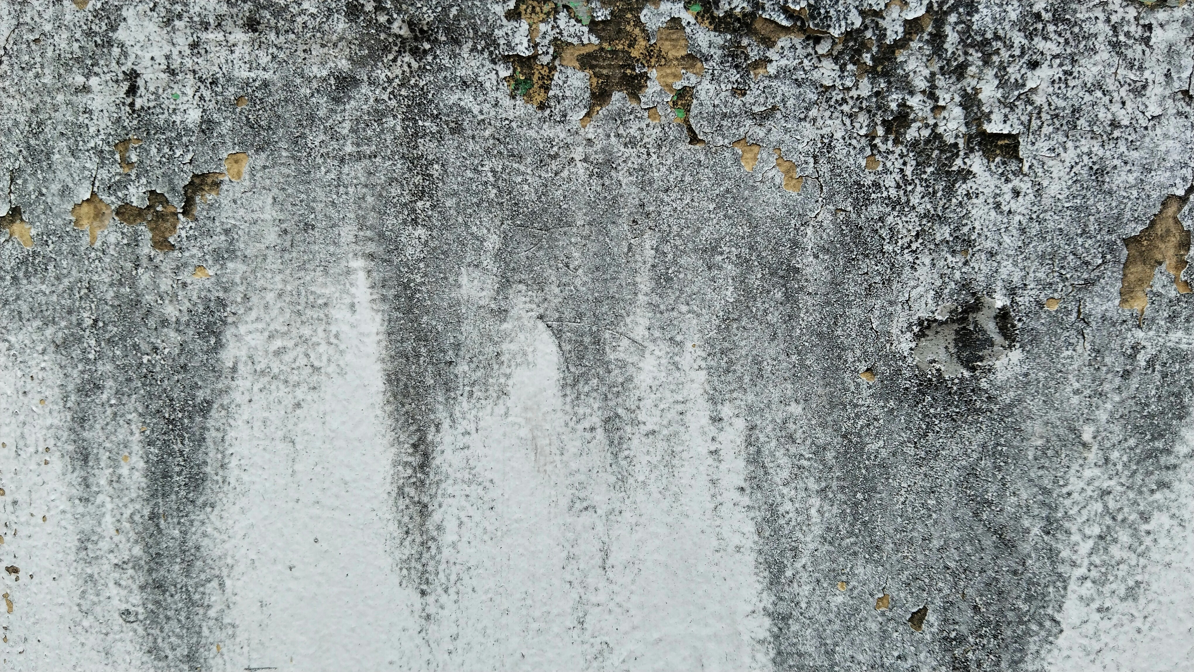 Photo by zakyjundanaphotos