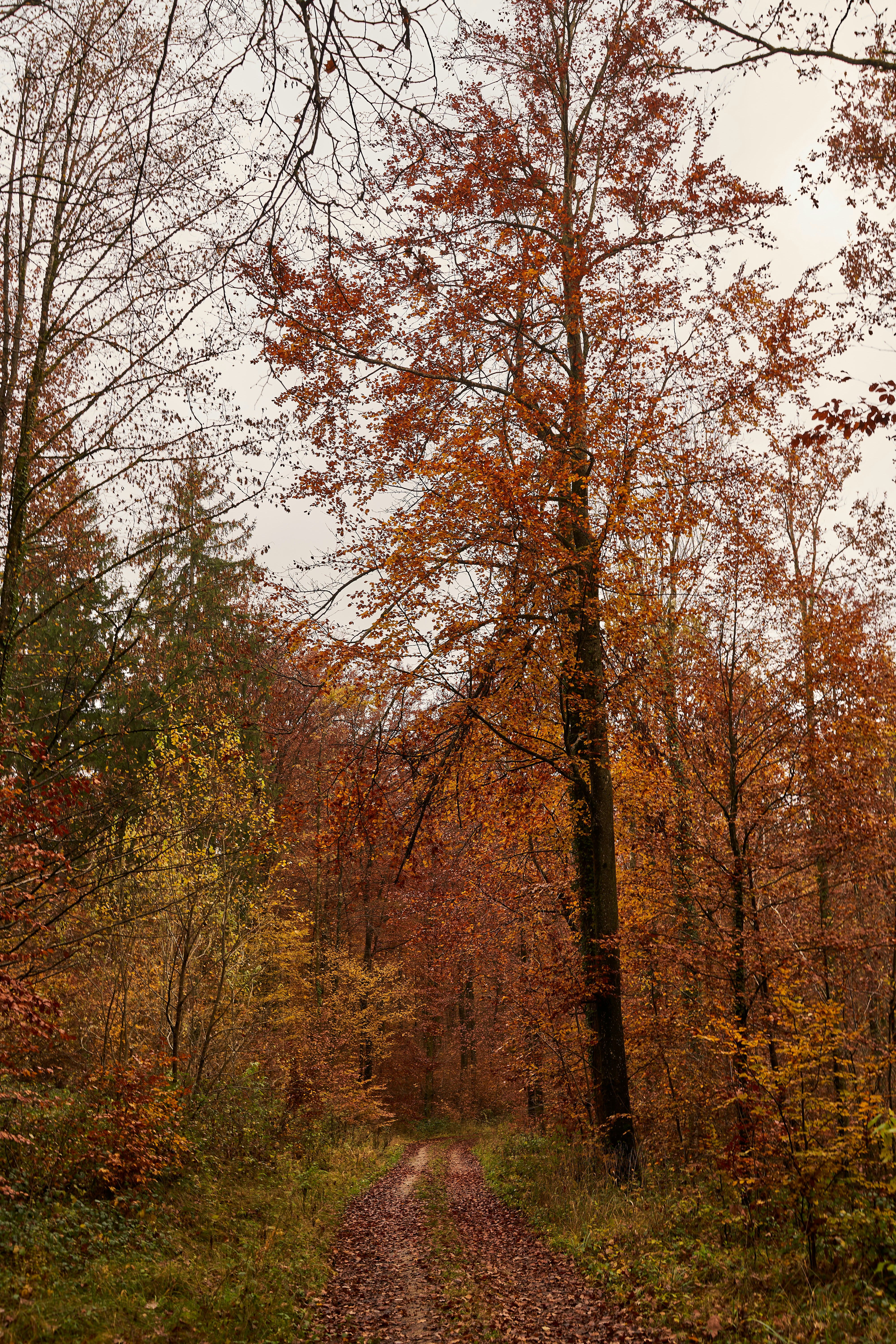 Photo by wolfgang_hasselmann