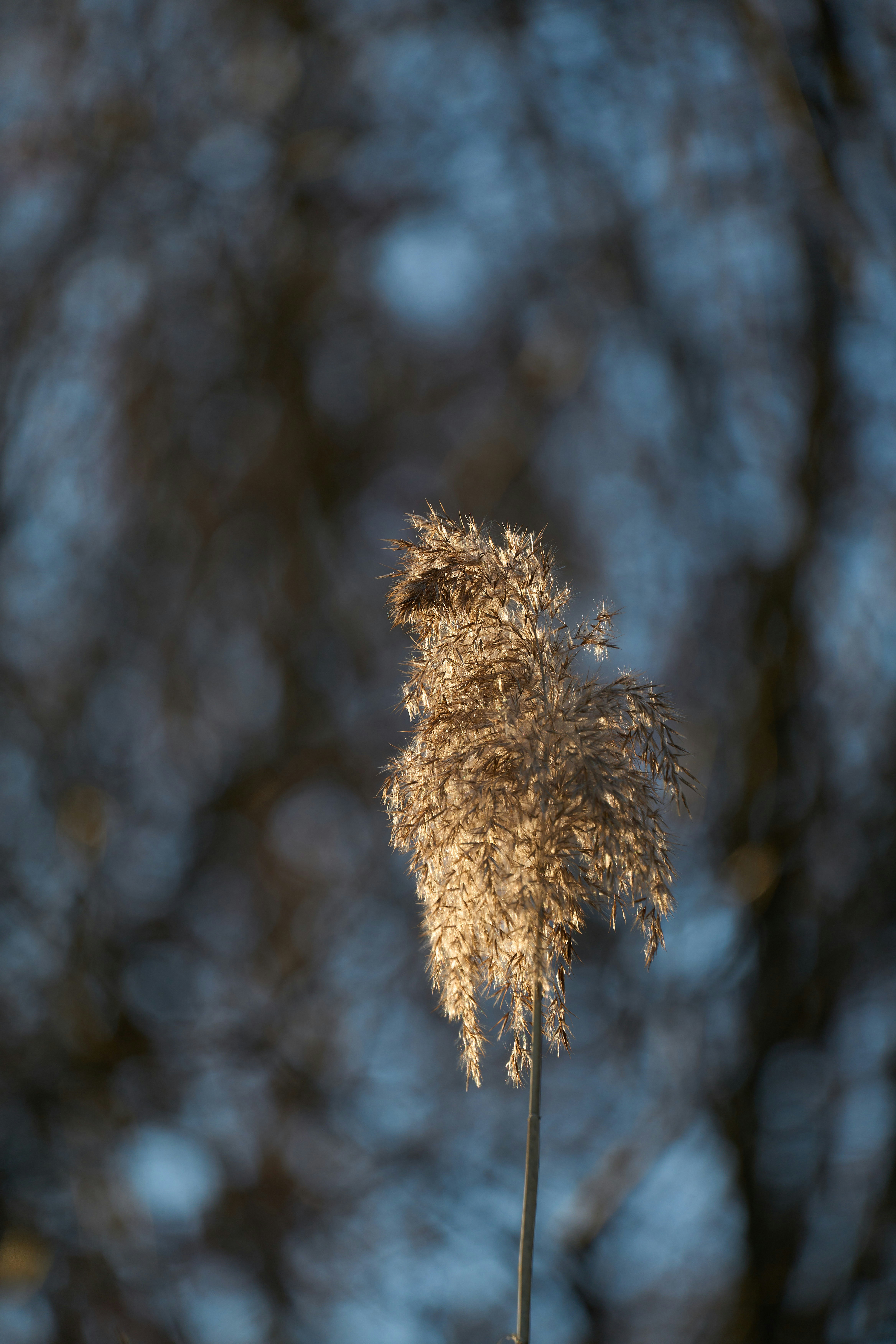 뉴발란스 윈터브리즈 선착순 관련 이미지2