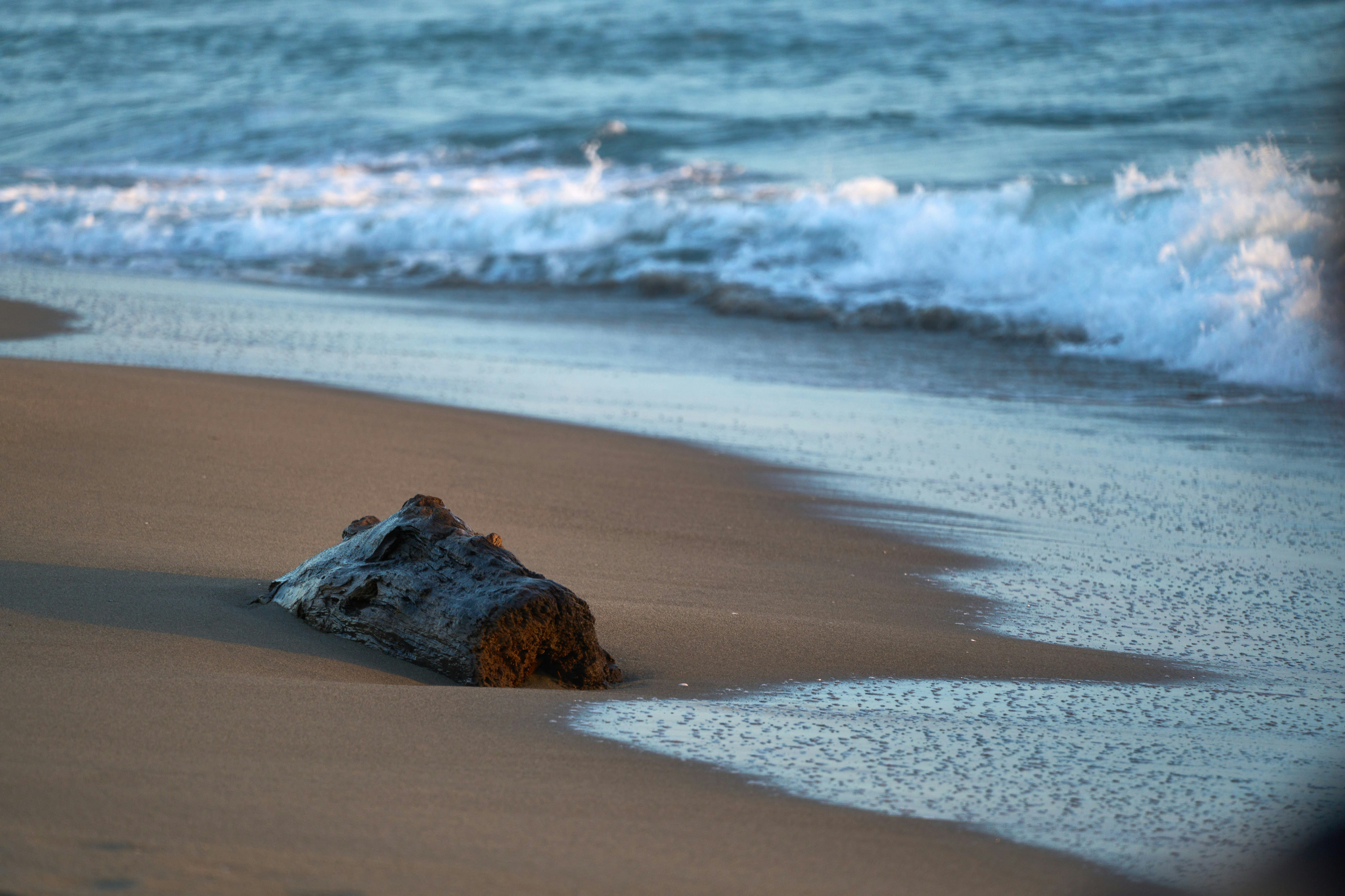 Photo by wolfgang_hasselmann