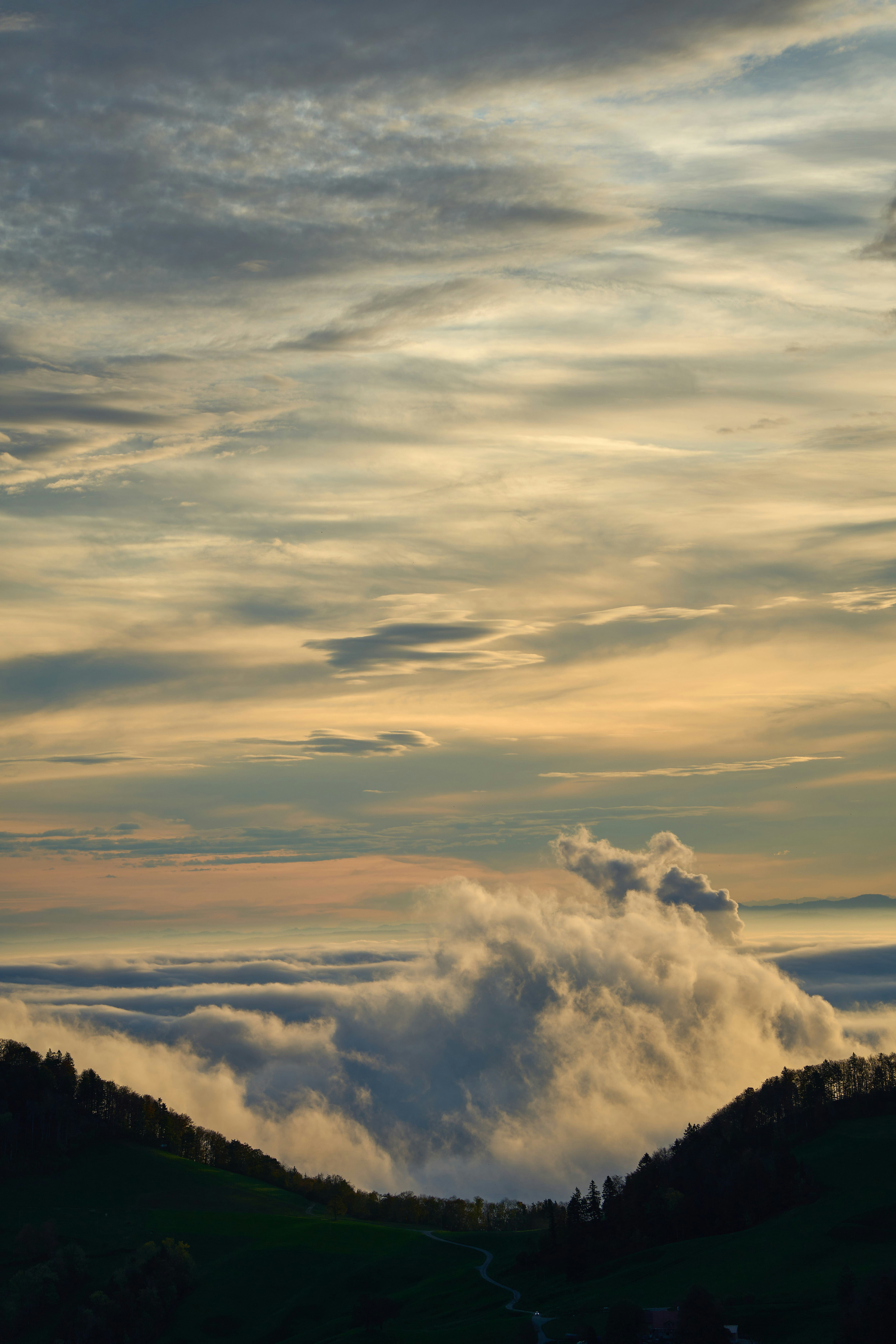 Photo by wolfgang_hasselmann