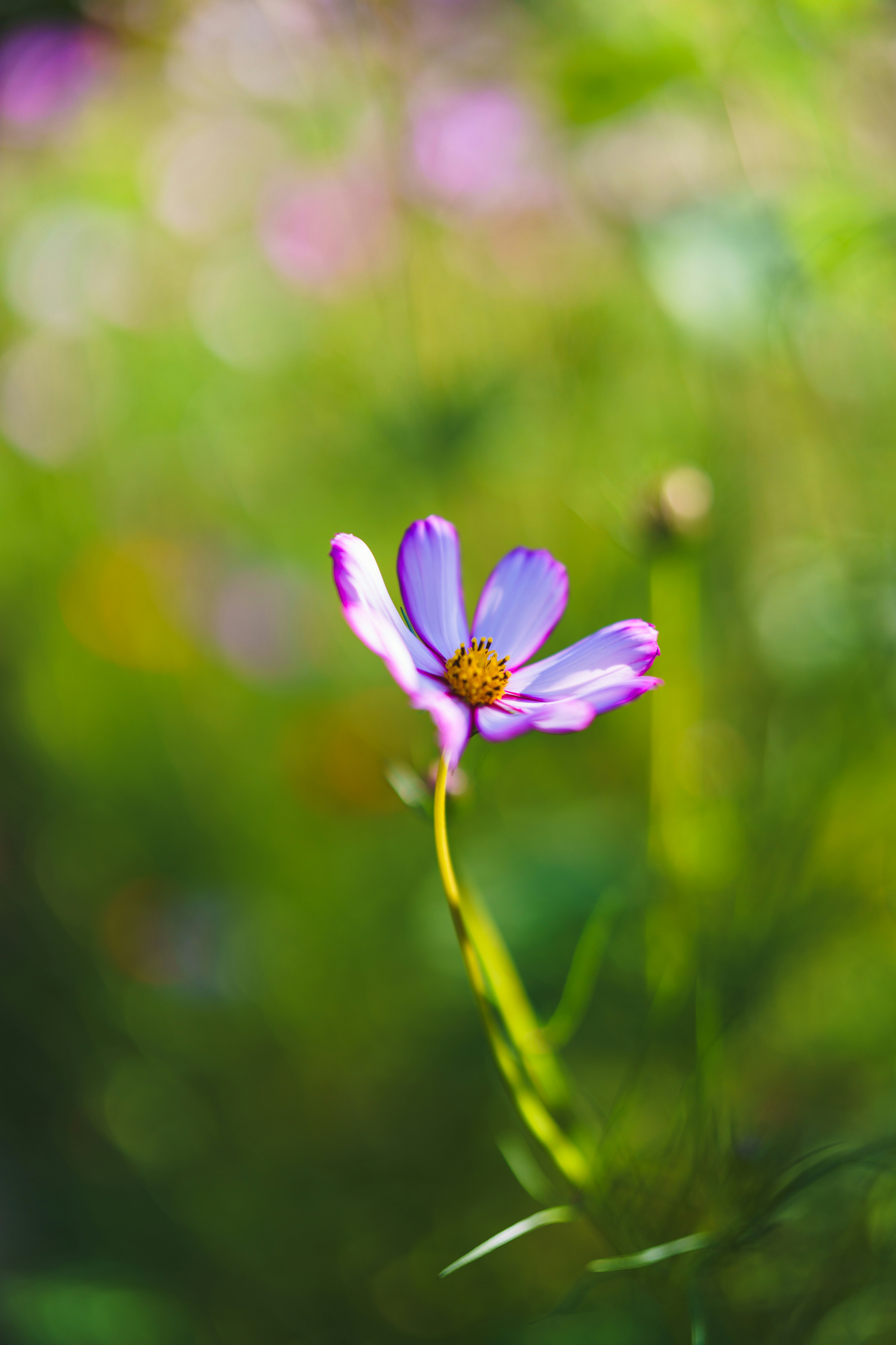 Photo by bangscreative