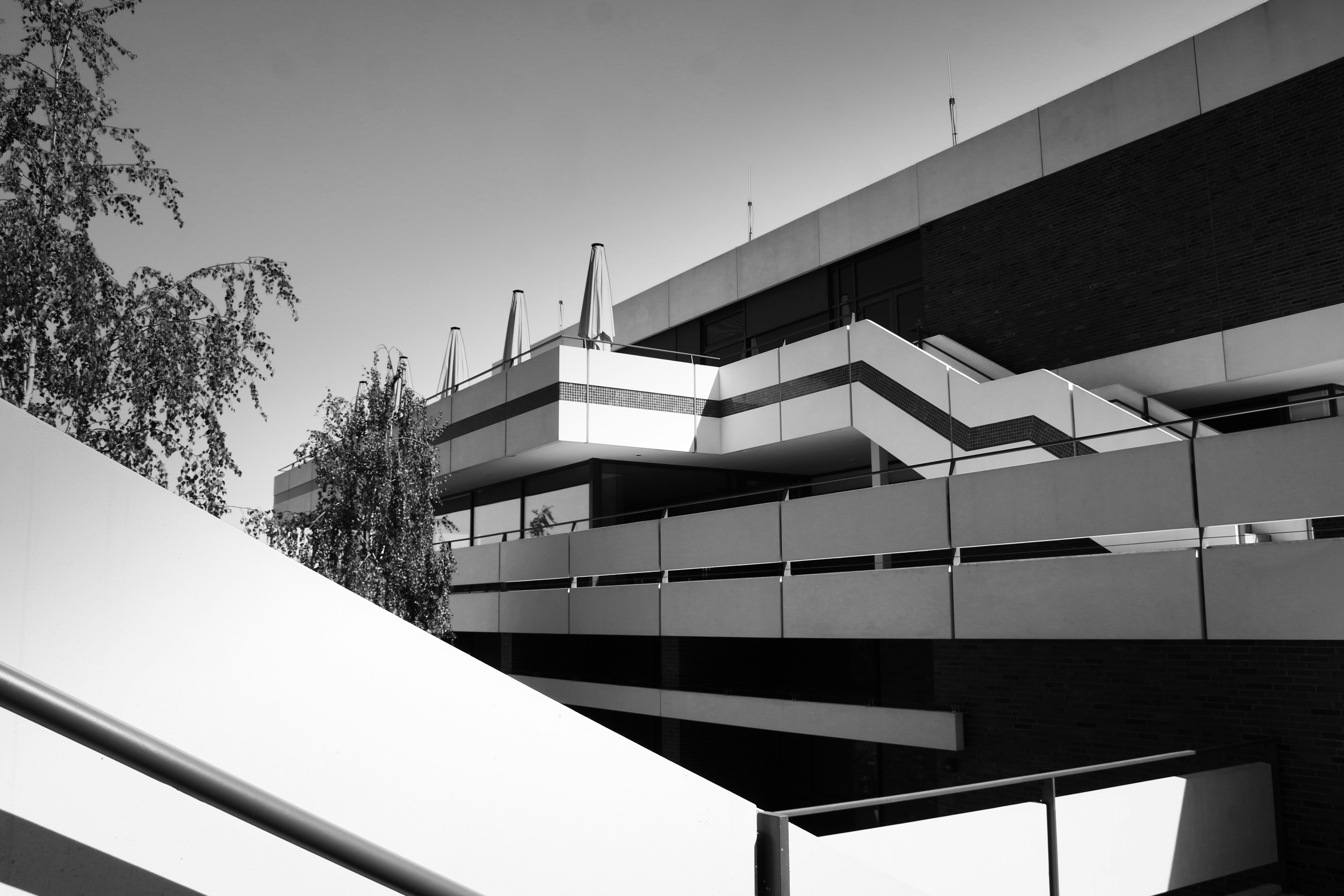 Photo by klarin_steffens