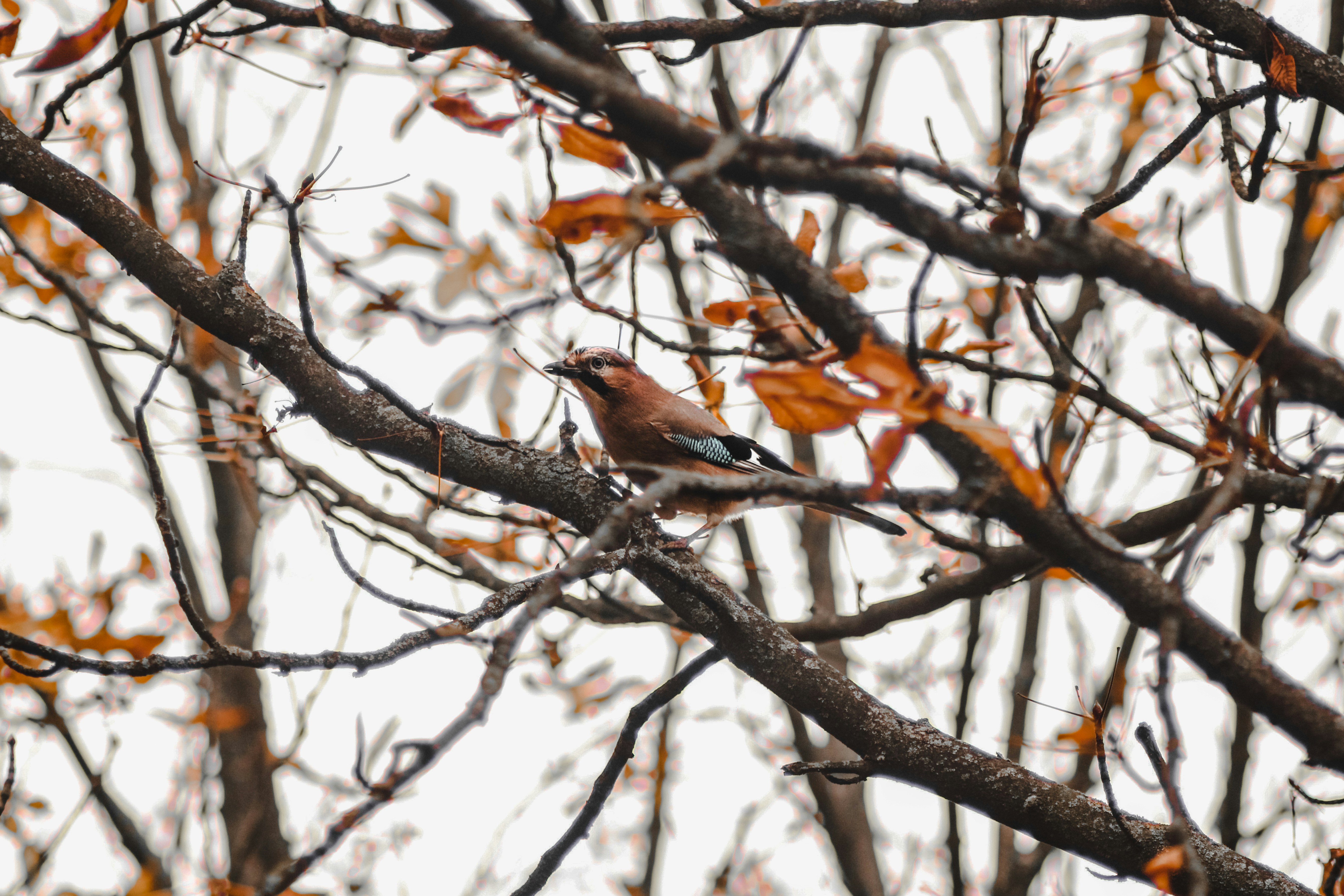 Photo by mineral_of_demon