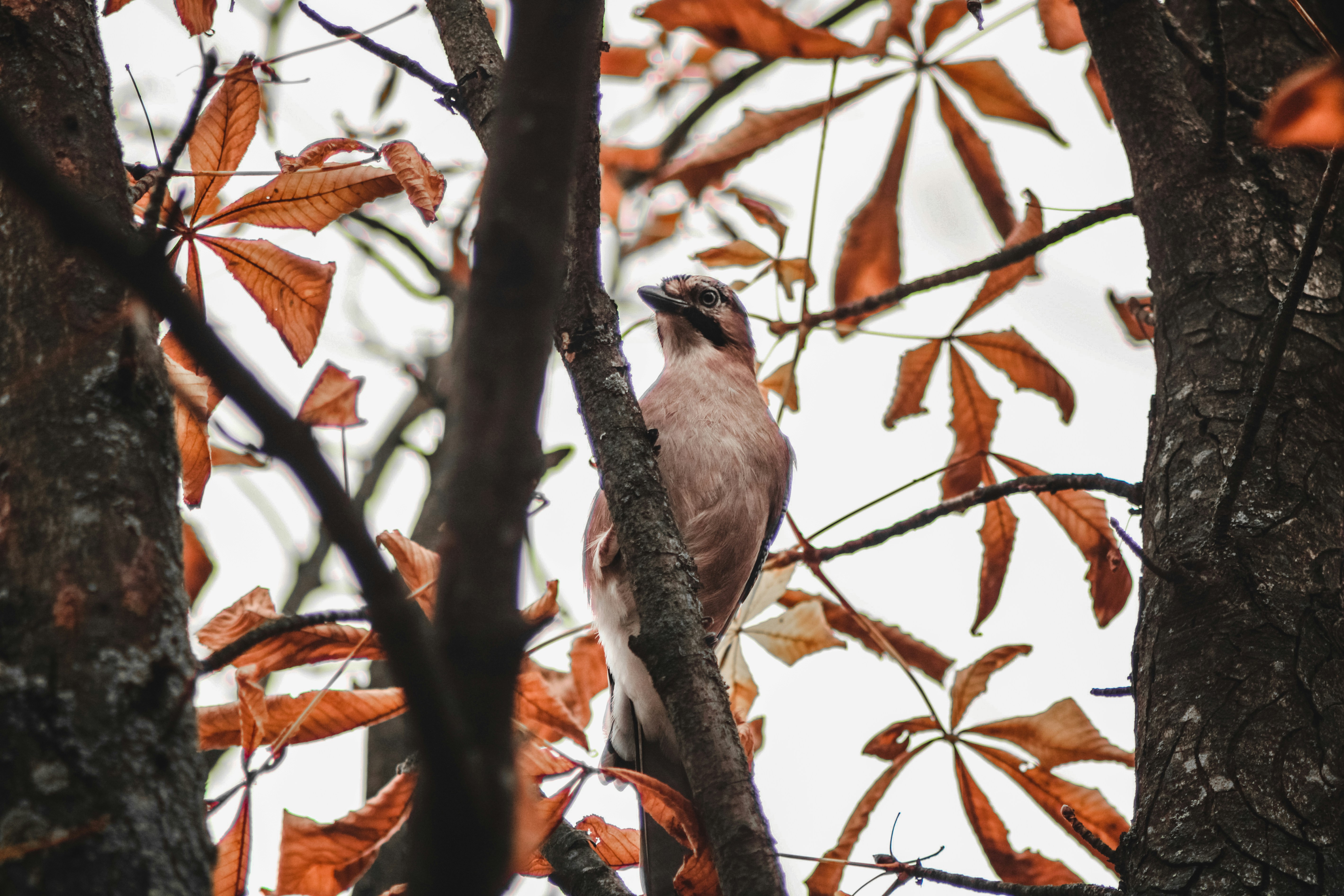 Photo by mineral_of_demon