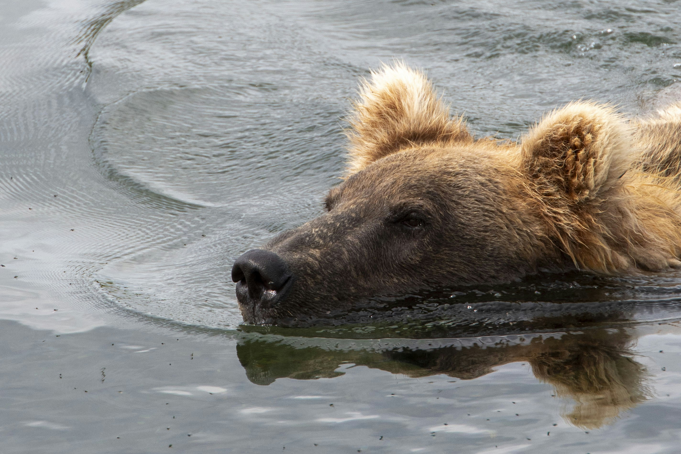 Photo by emilioborraz