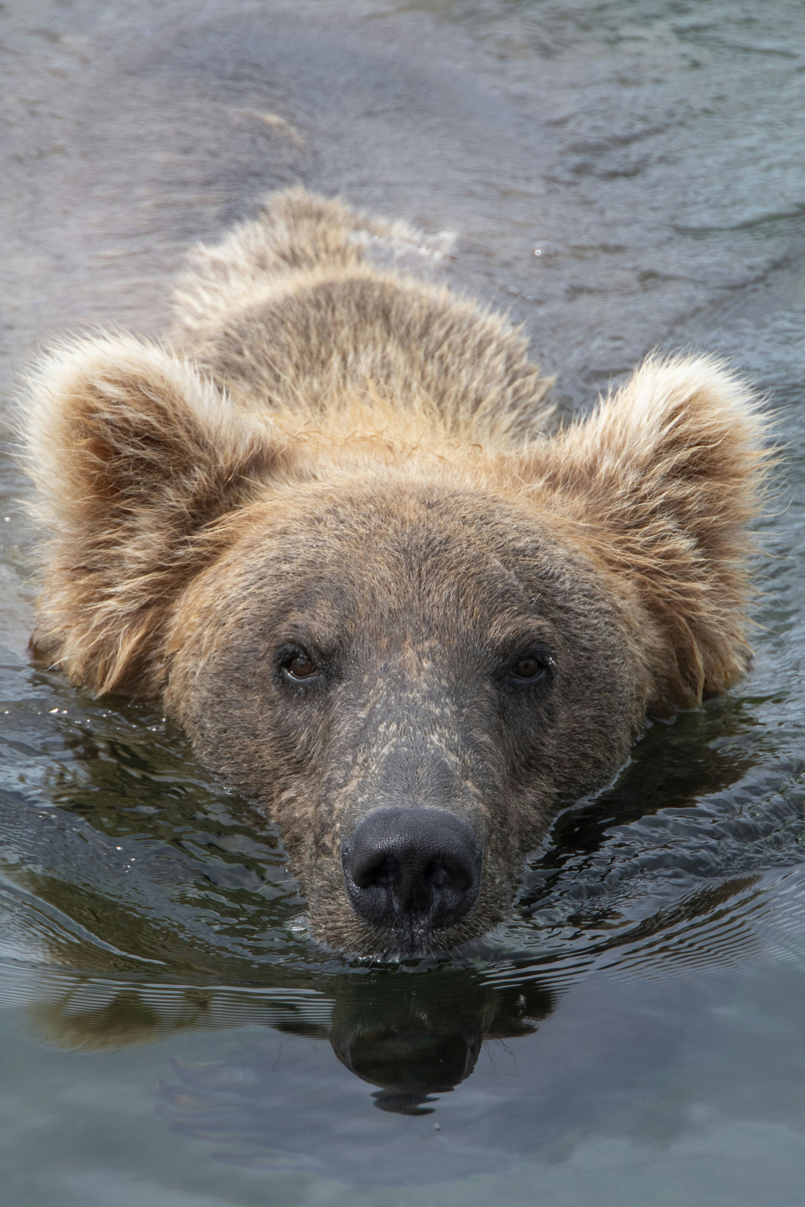 Photo by emilioborraz