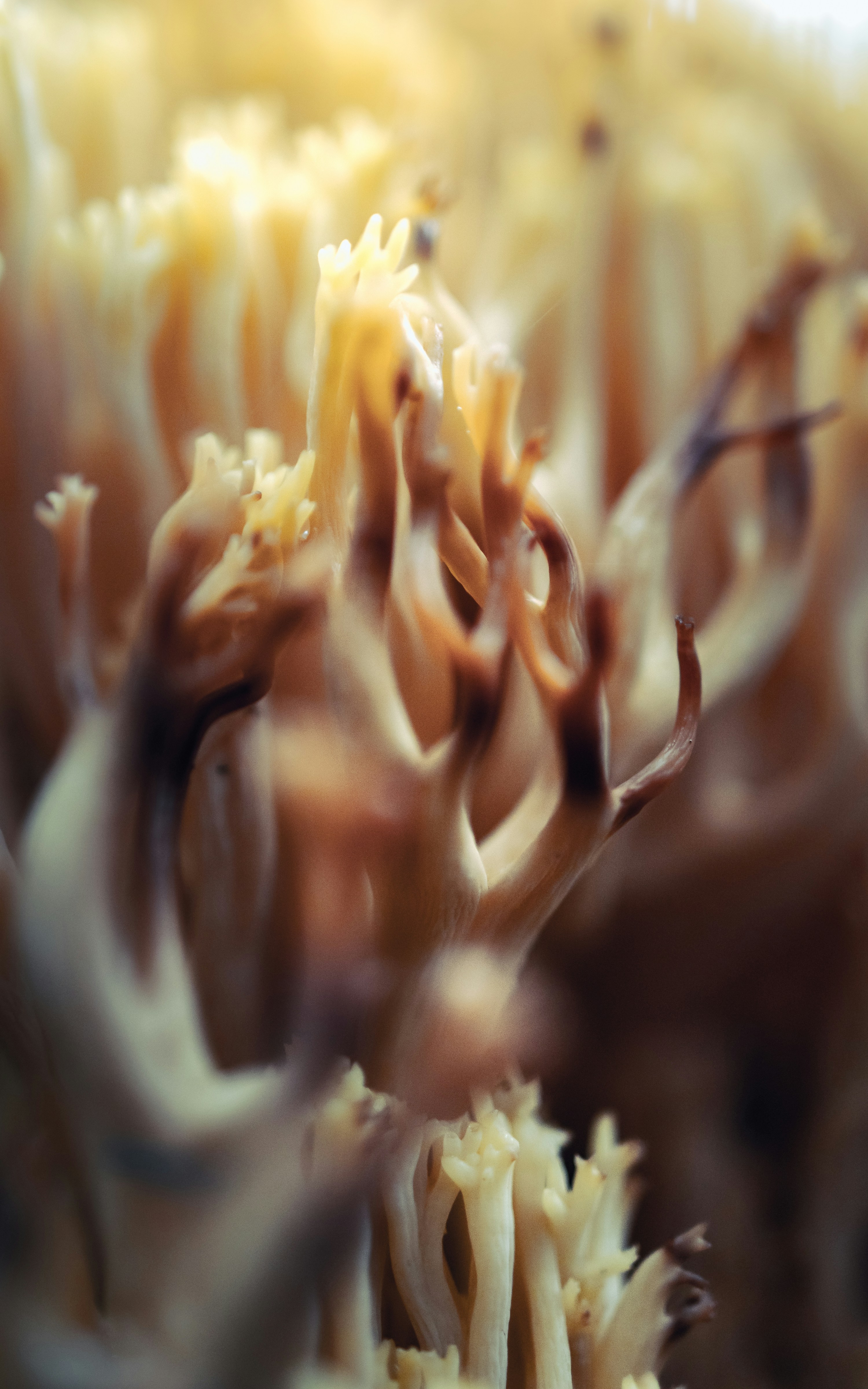 Photo by marekpiwnicki