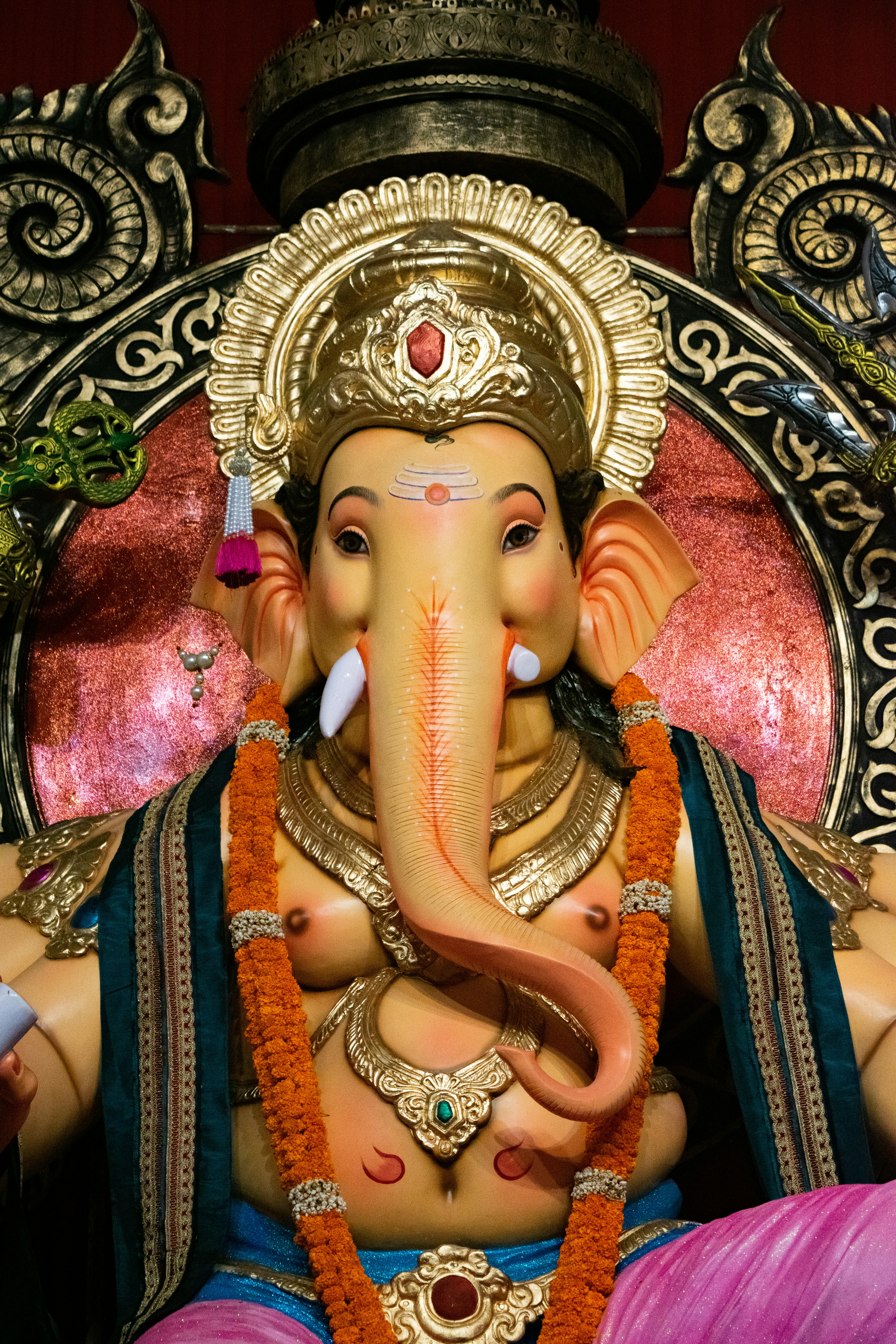 Photo by vishalpanchal96