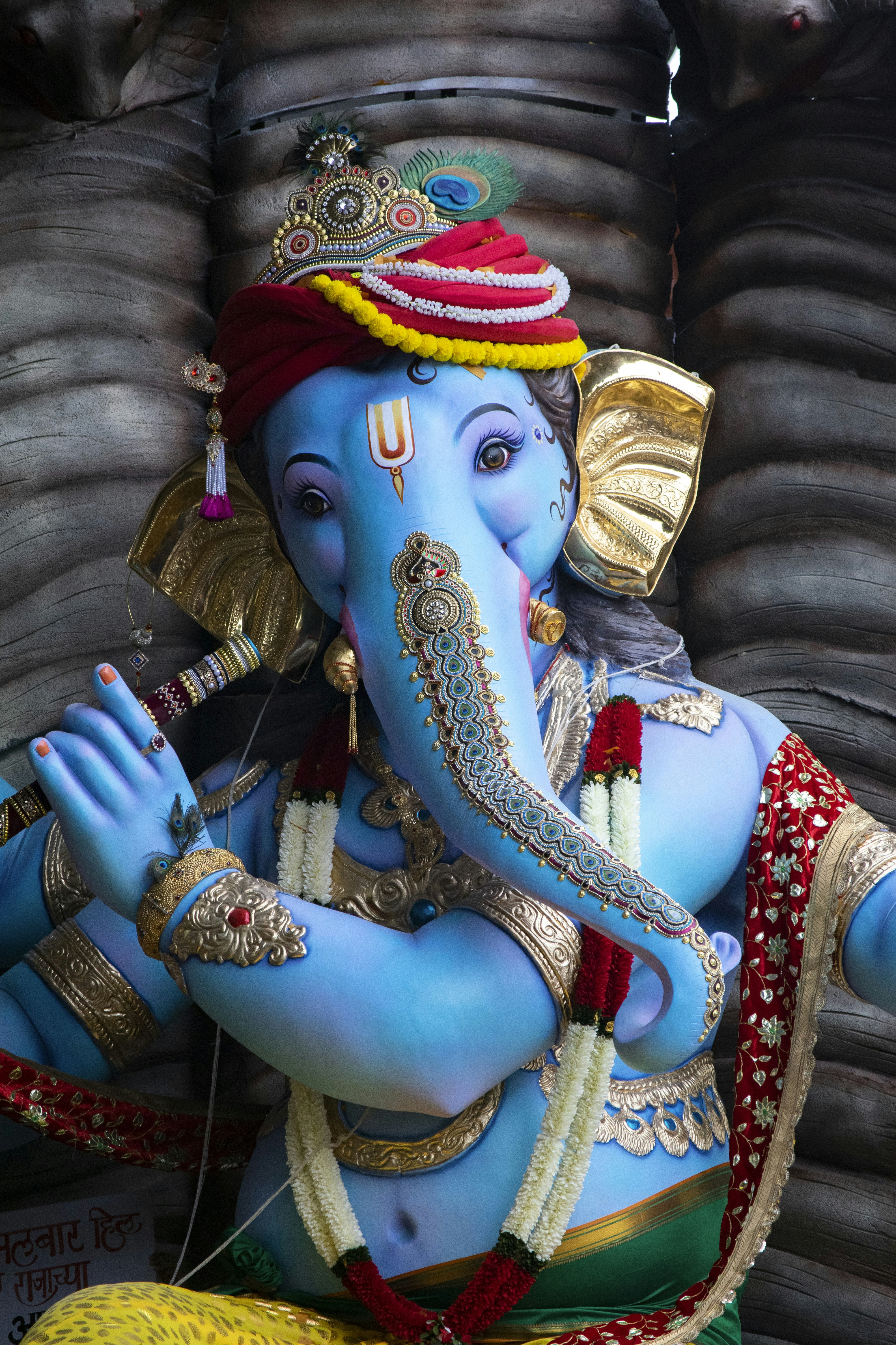 Photo by vishalpanchal96