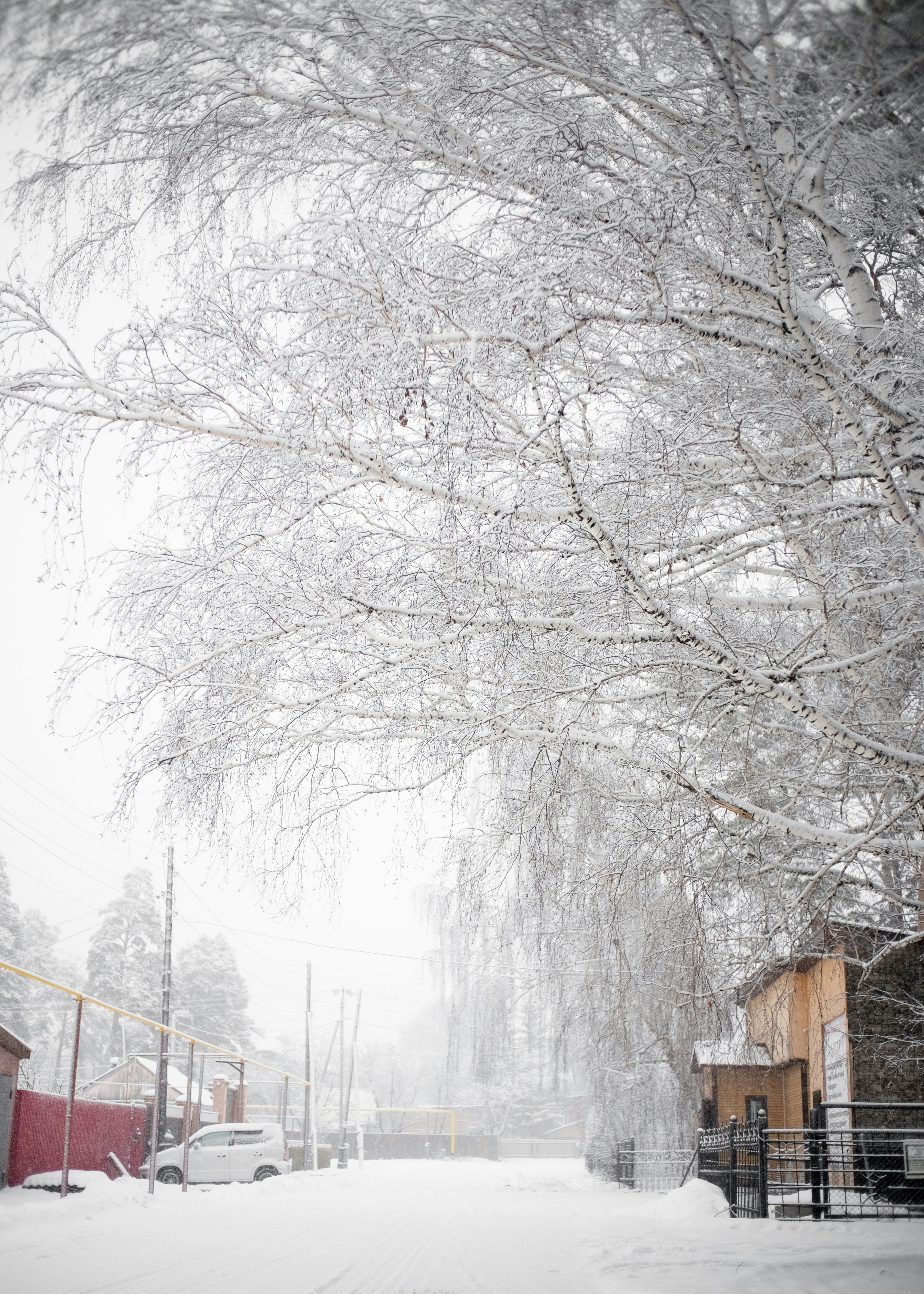 Eine verschneite Straße, gesäumt von Häusern und Bäumen