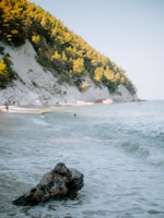 A large rock laying on top of a sandy beach