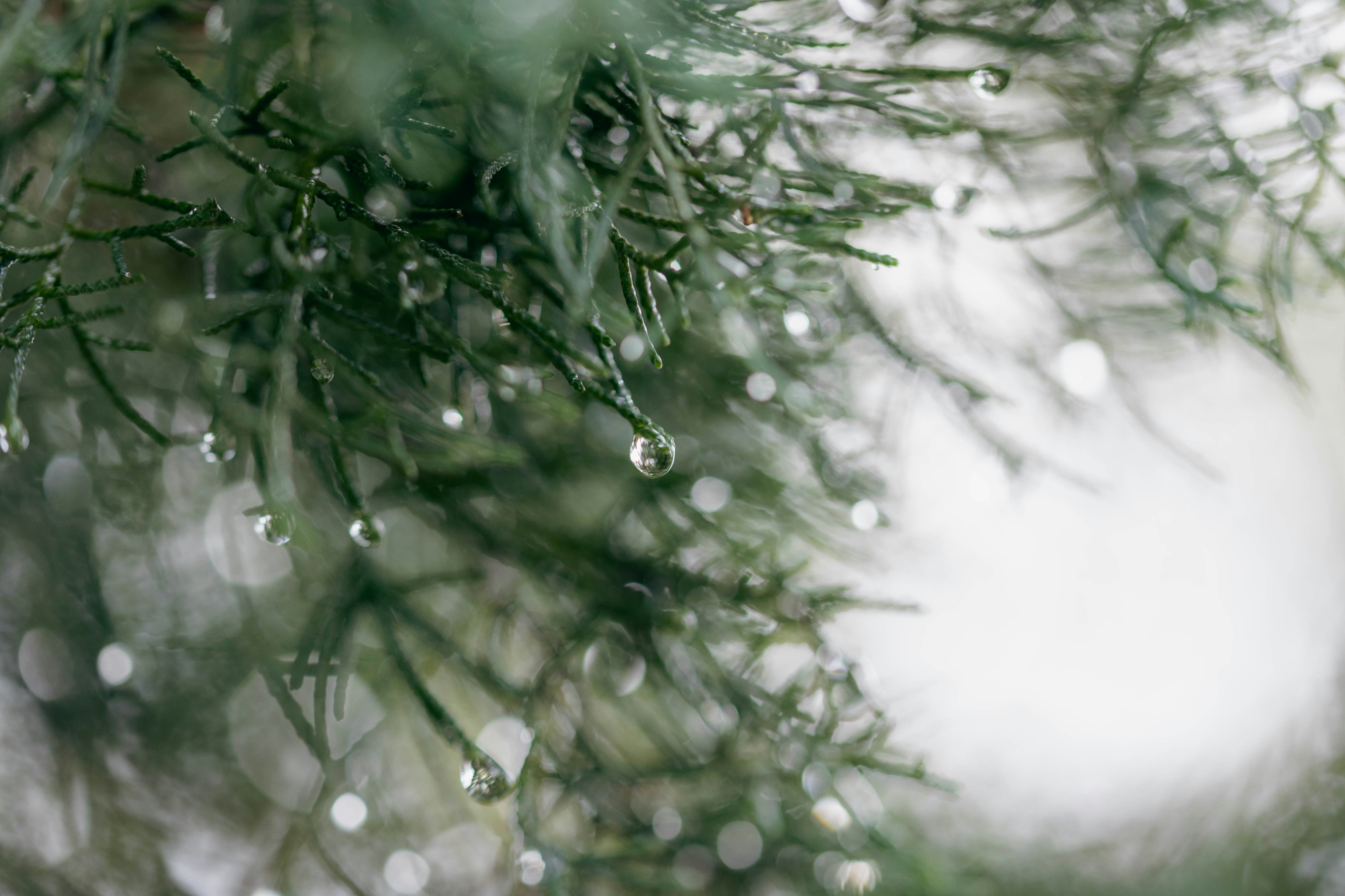 Photo by kamekichi_photos