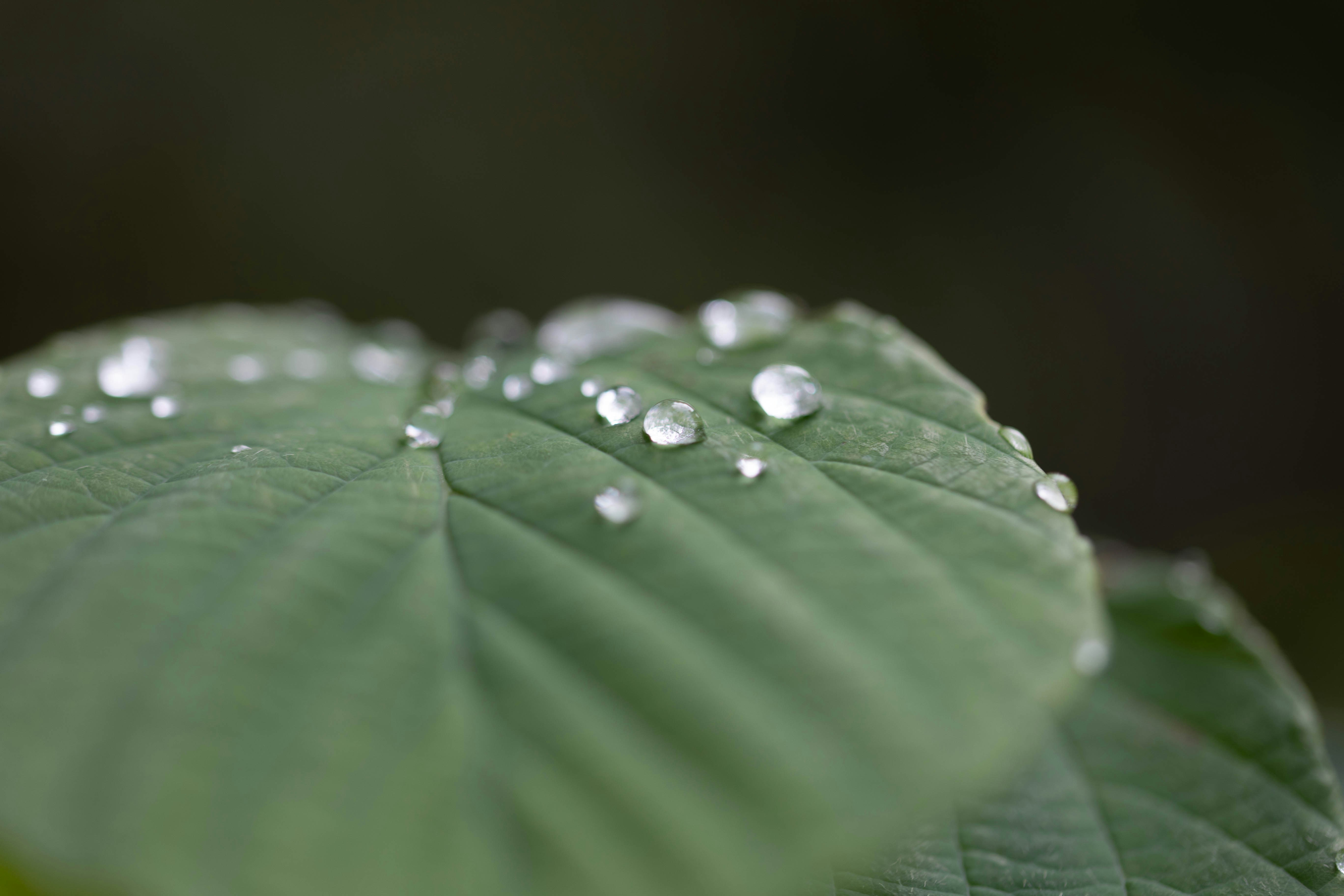 Photo by kamekichi_photos