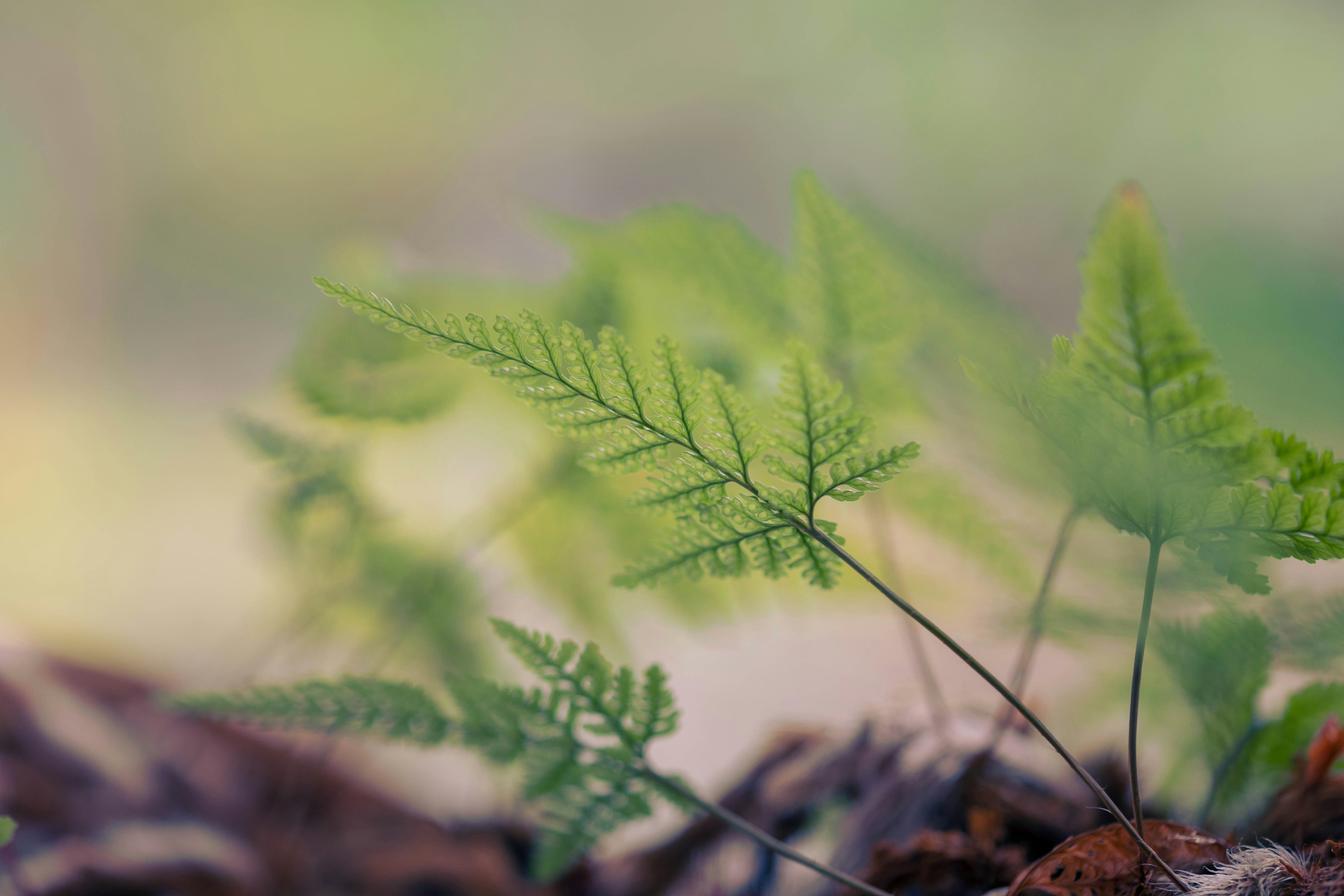 Photo by kamekichi_photos