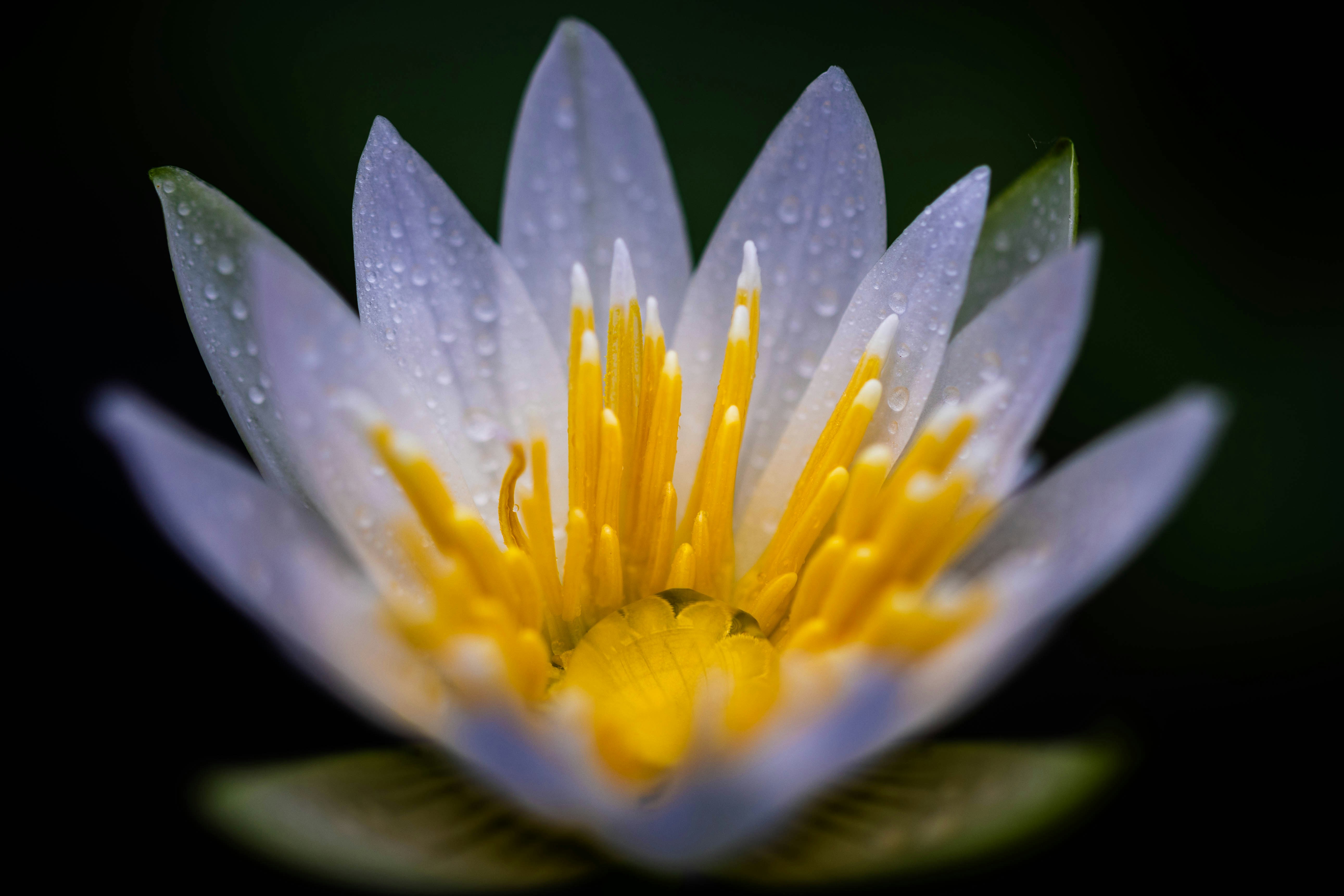 Photo by kamekichi_photos