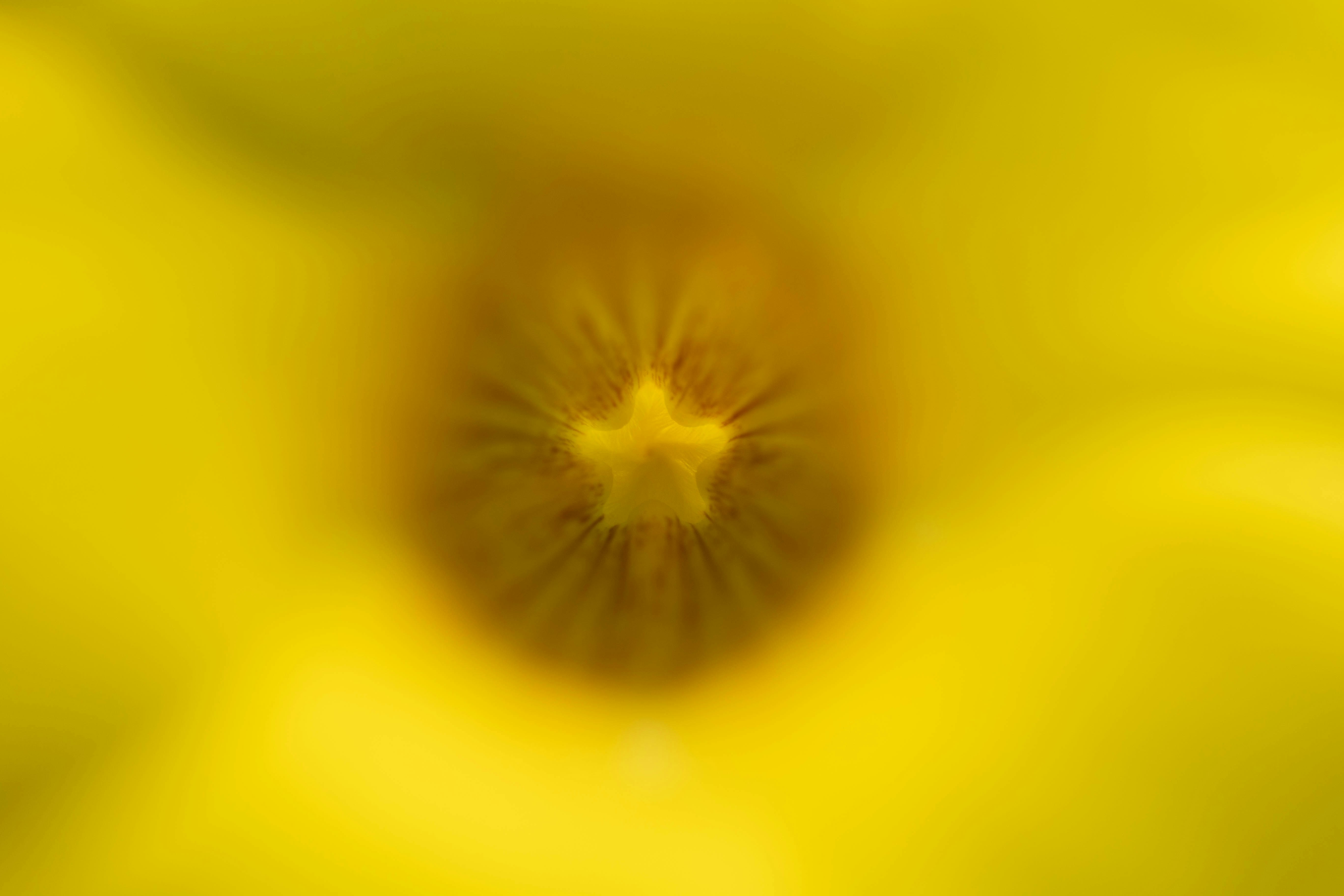 Photo by kamekichi_photos