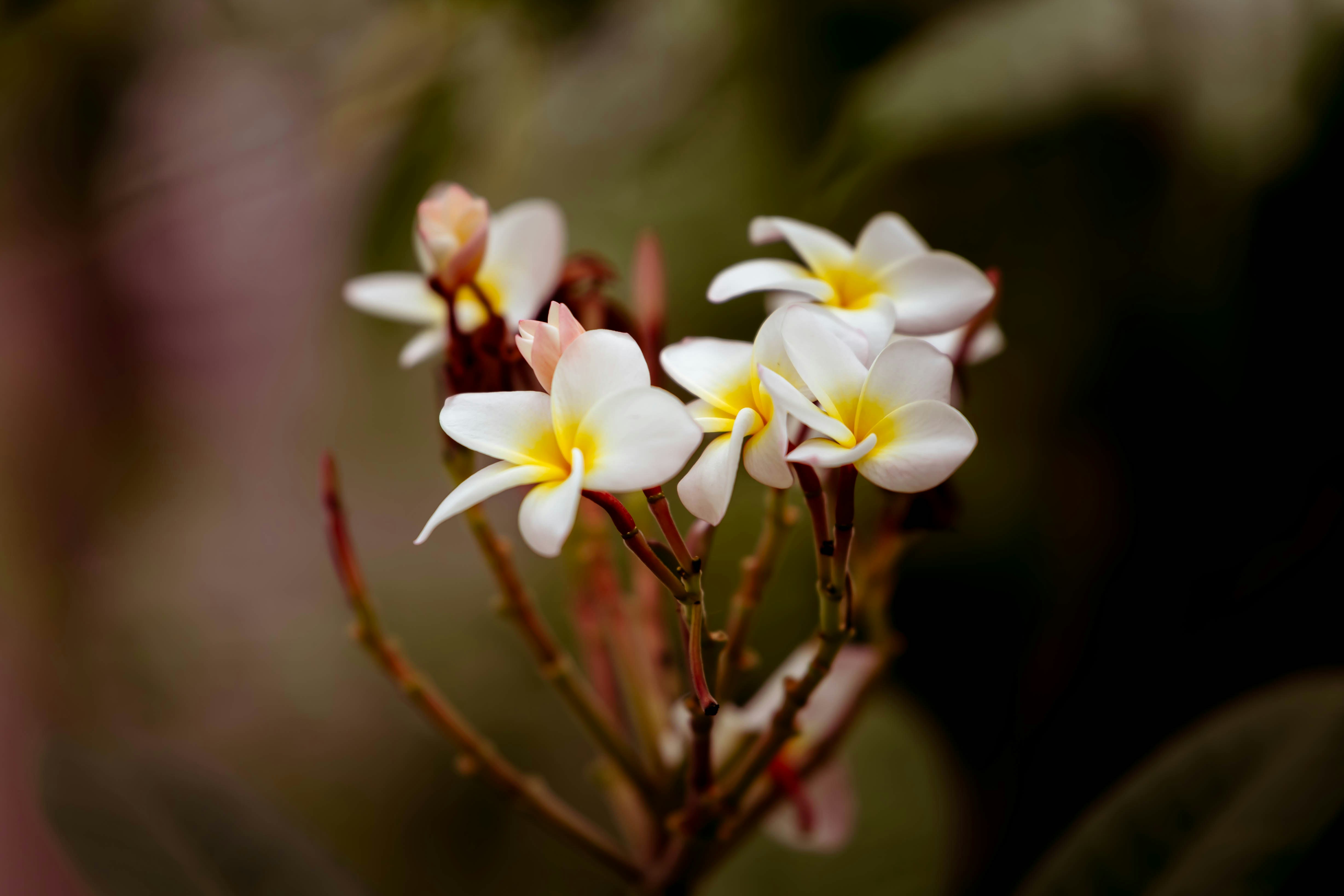 Photo by kamekichi_photos