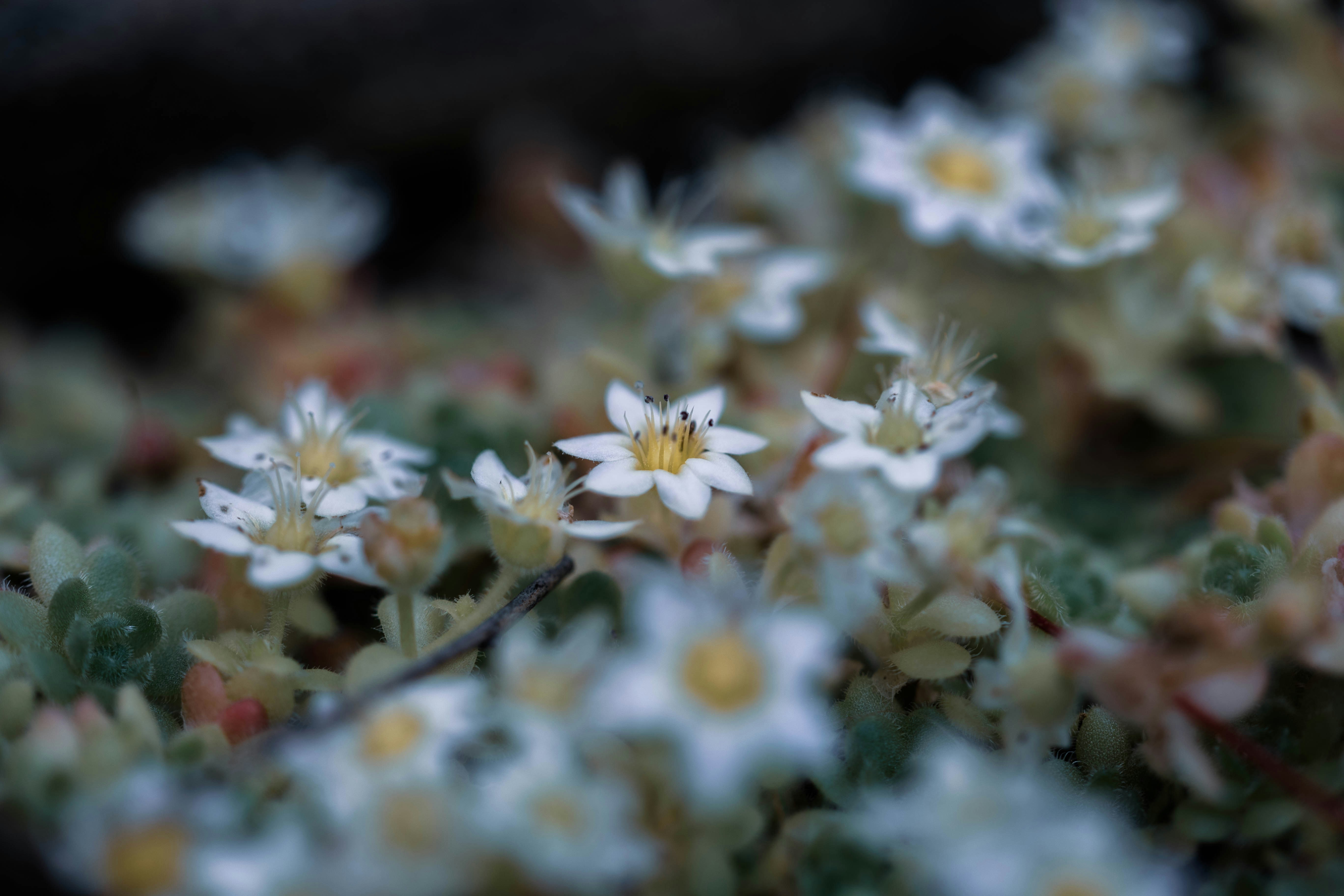 Photo by kamekichi_photos