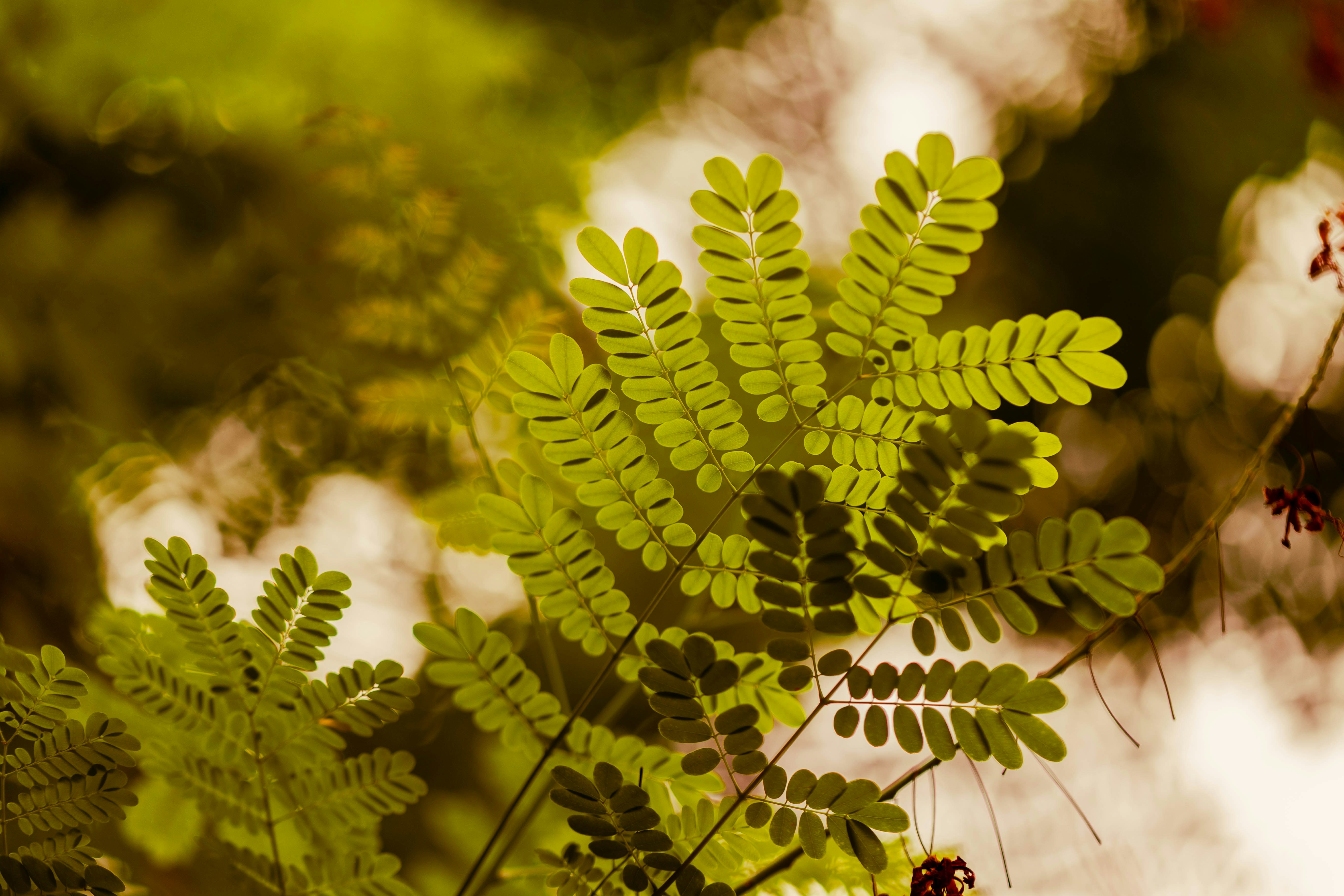 Photo by kamekichi_photos