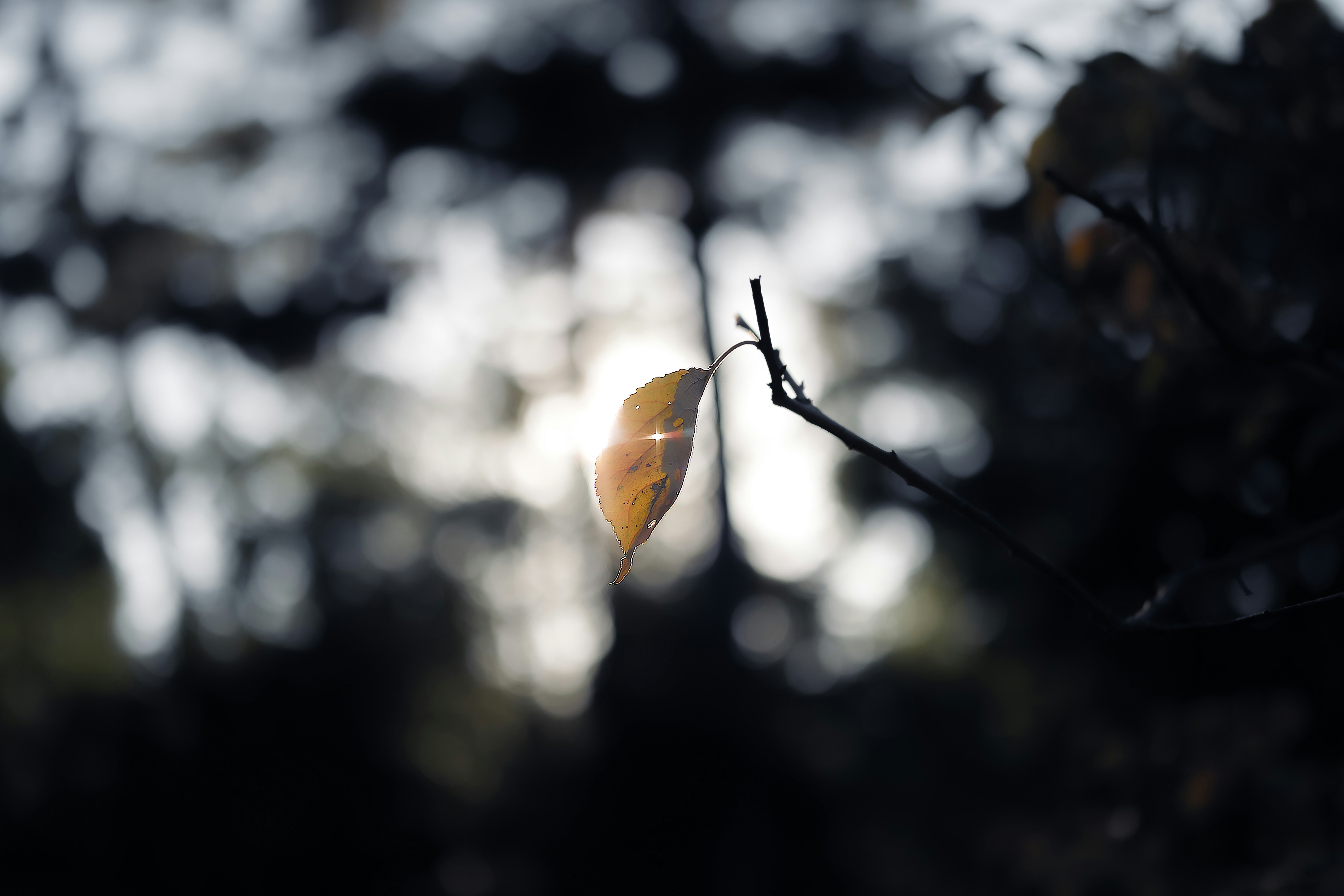 Photo by kamekichi_photos