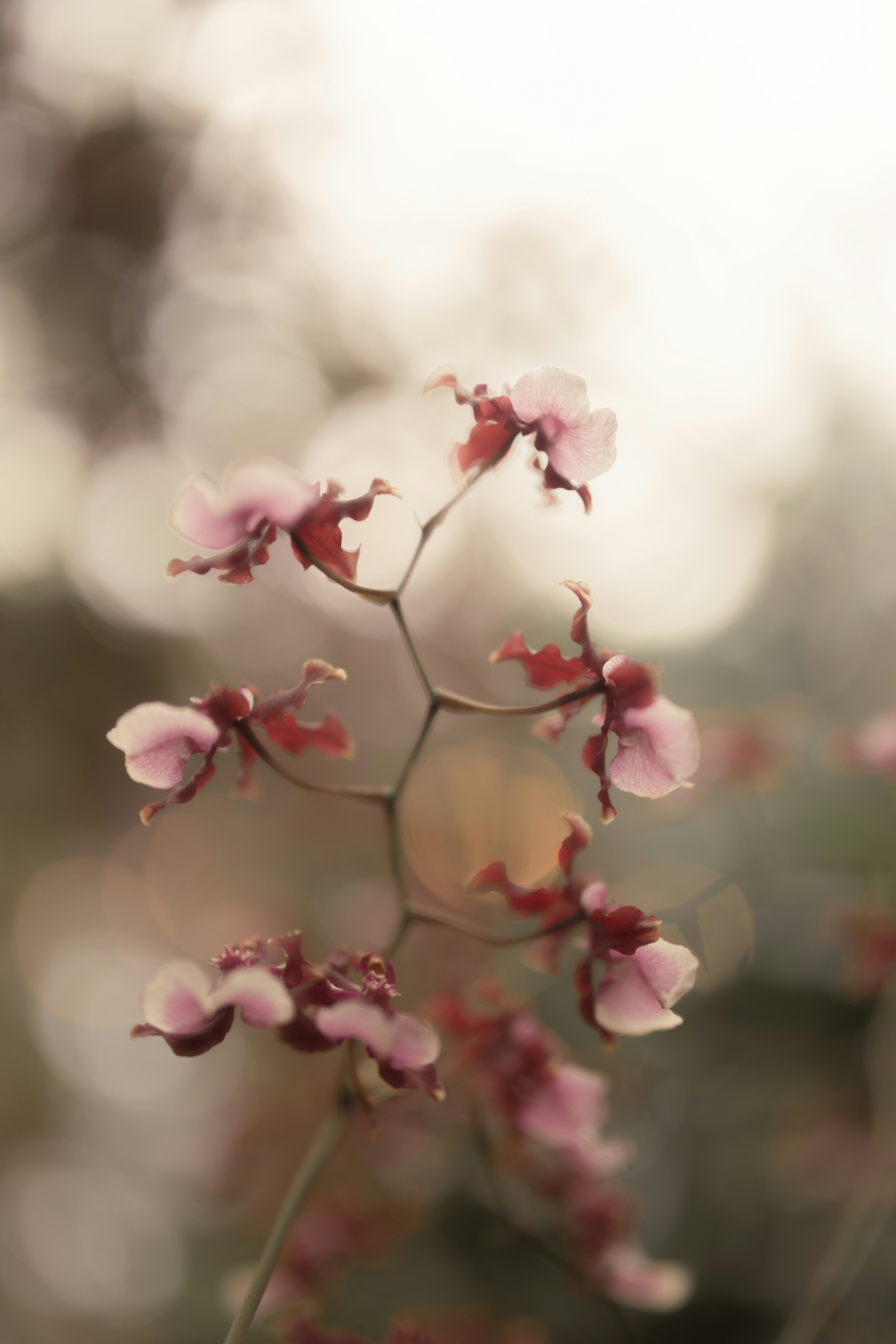 Photo by kamekichi_photos