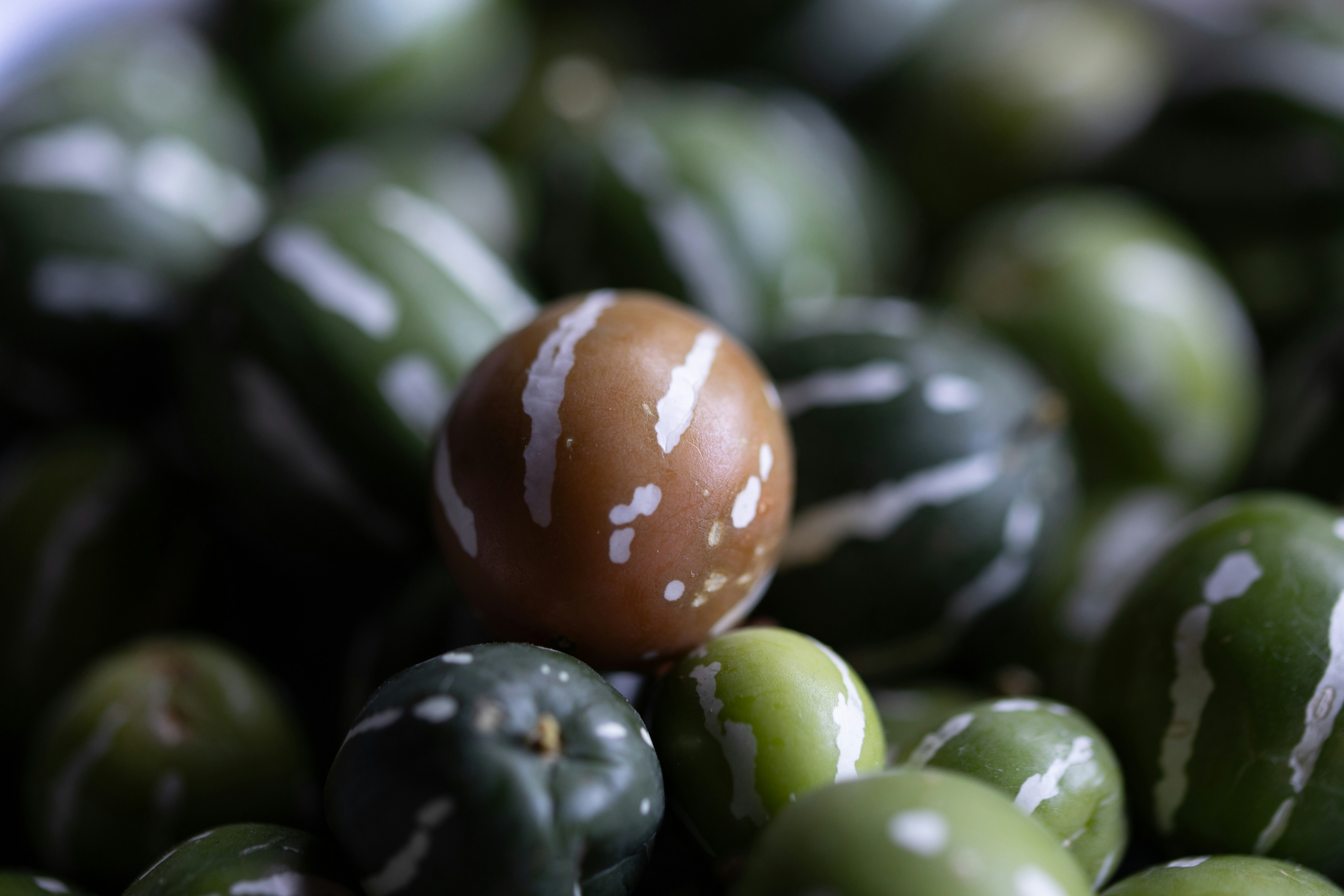 Photo by kamekichi_photos