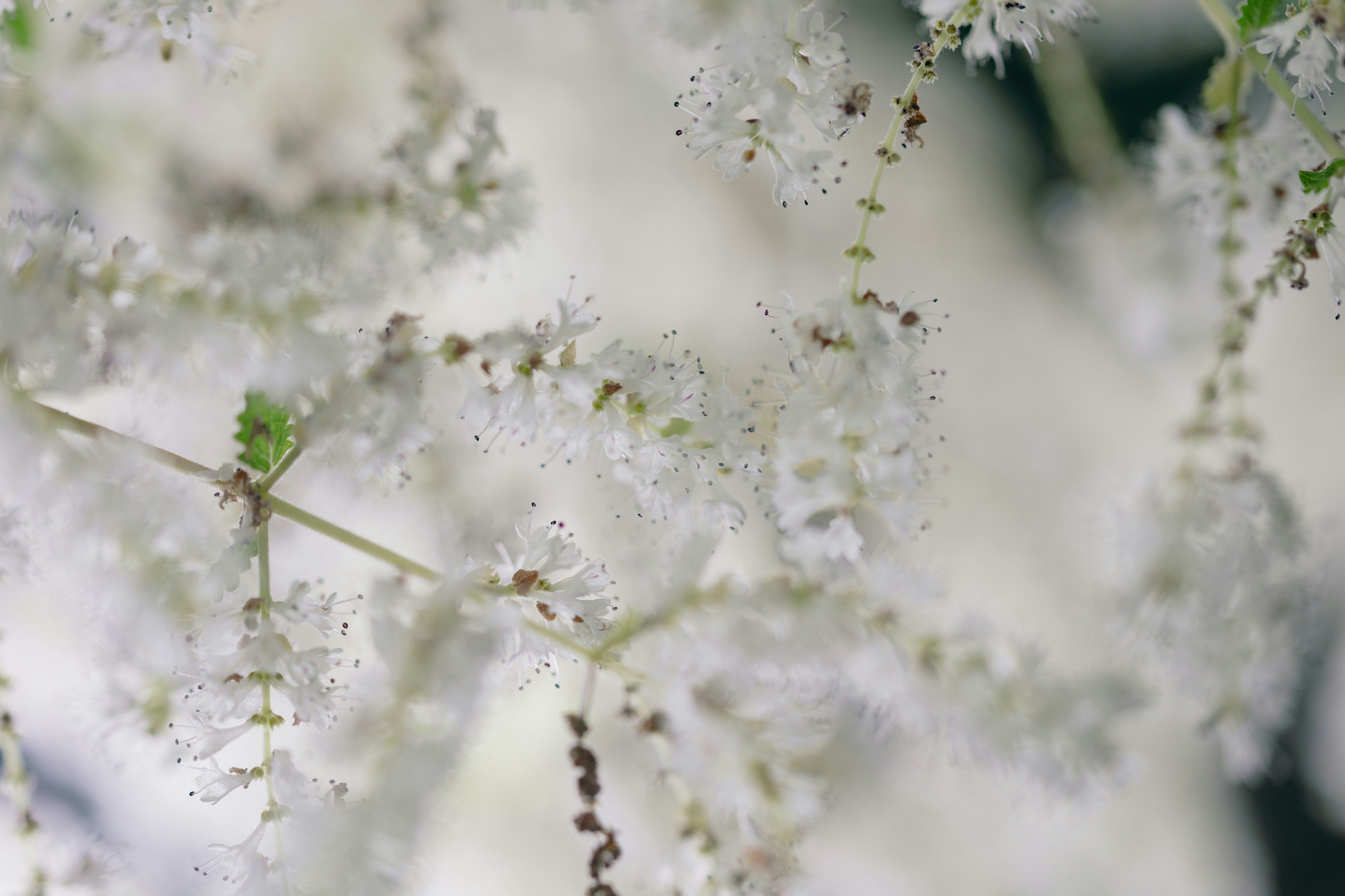 Photo by kamekichi_photos