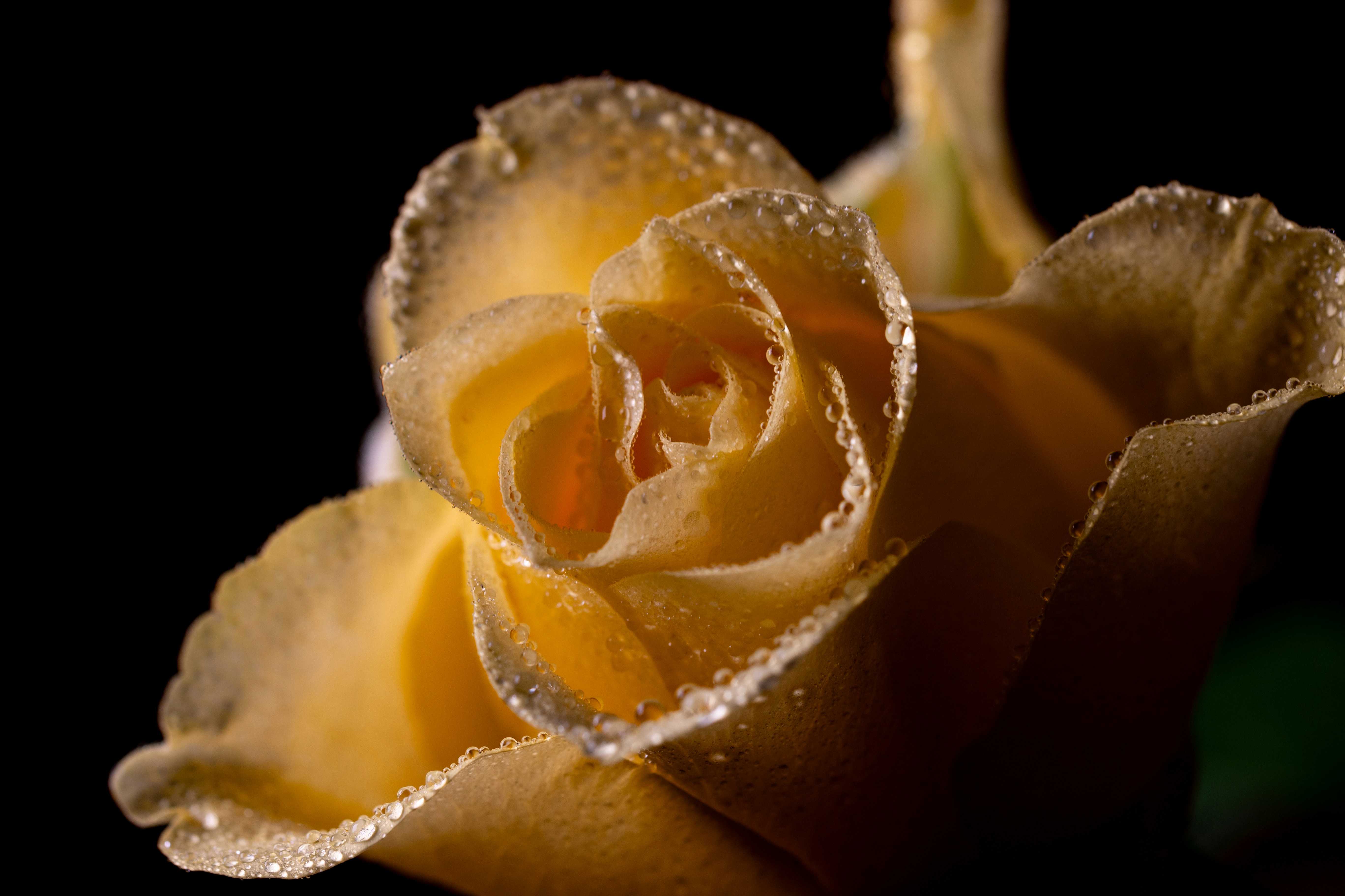 Photo by kamekichi_photos