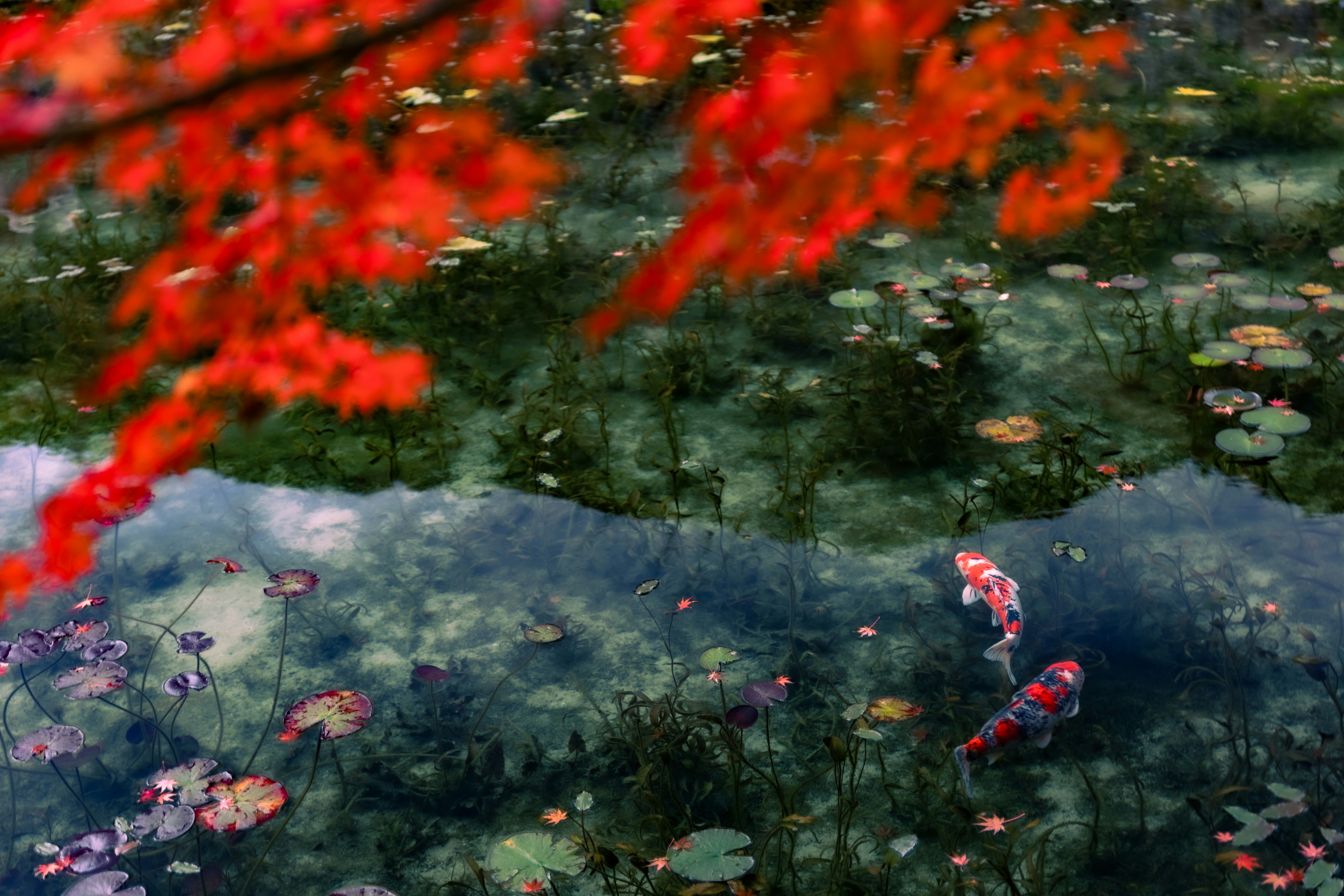 저혈당이 되는 이유는 뭔가요? 다양한 원인과 대처 방법