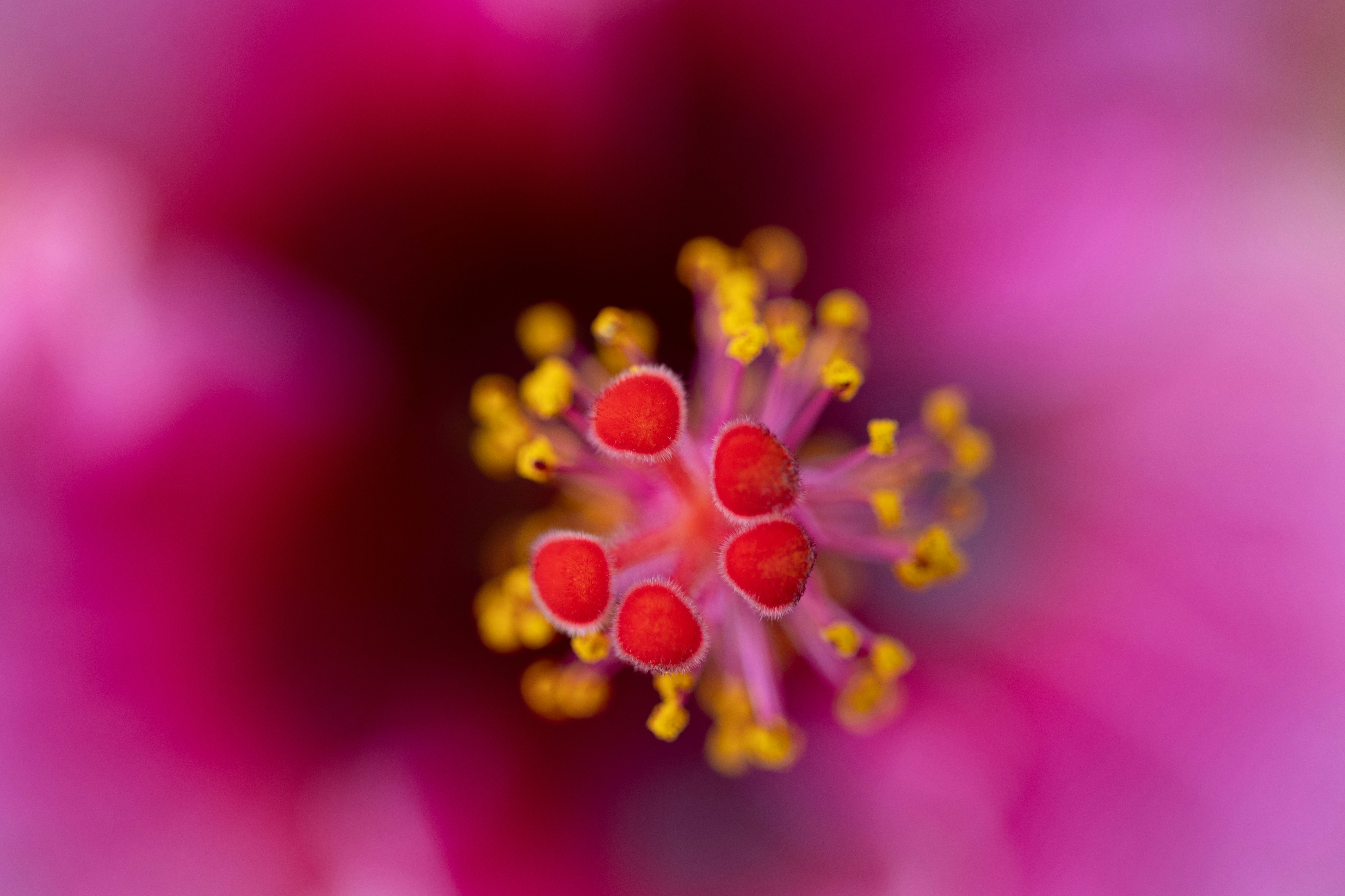 Photo by kamekichi_photos