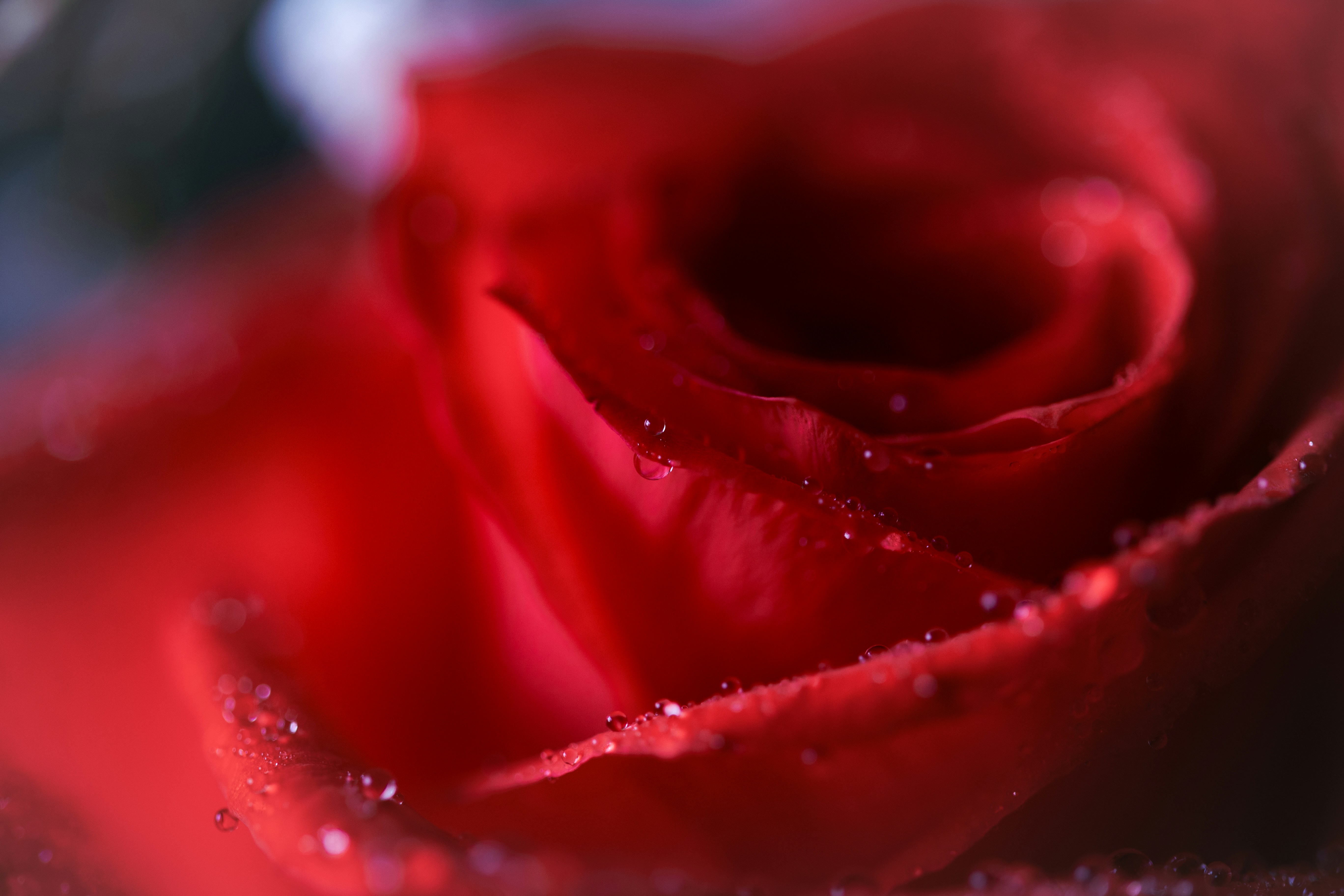 Photo by kamekichi_photos