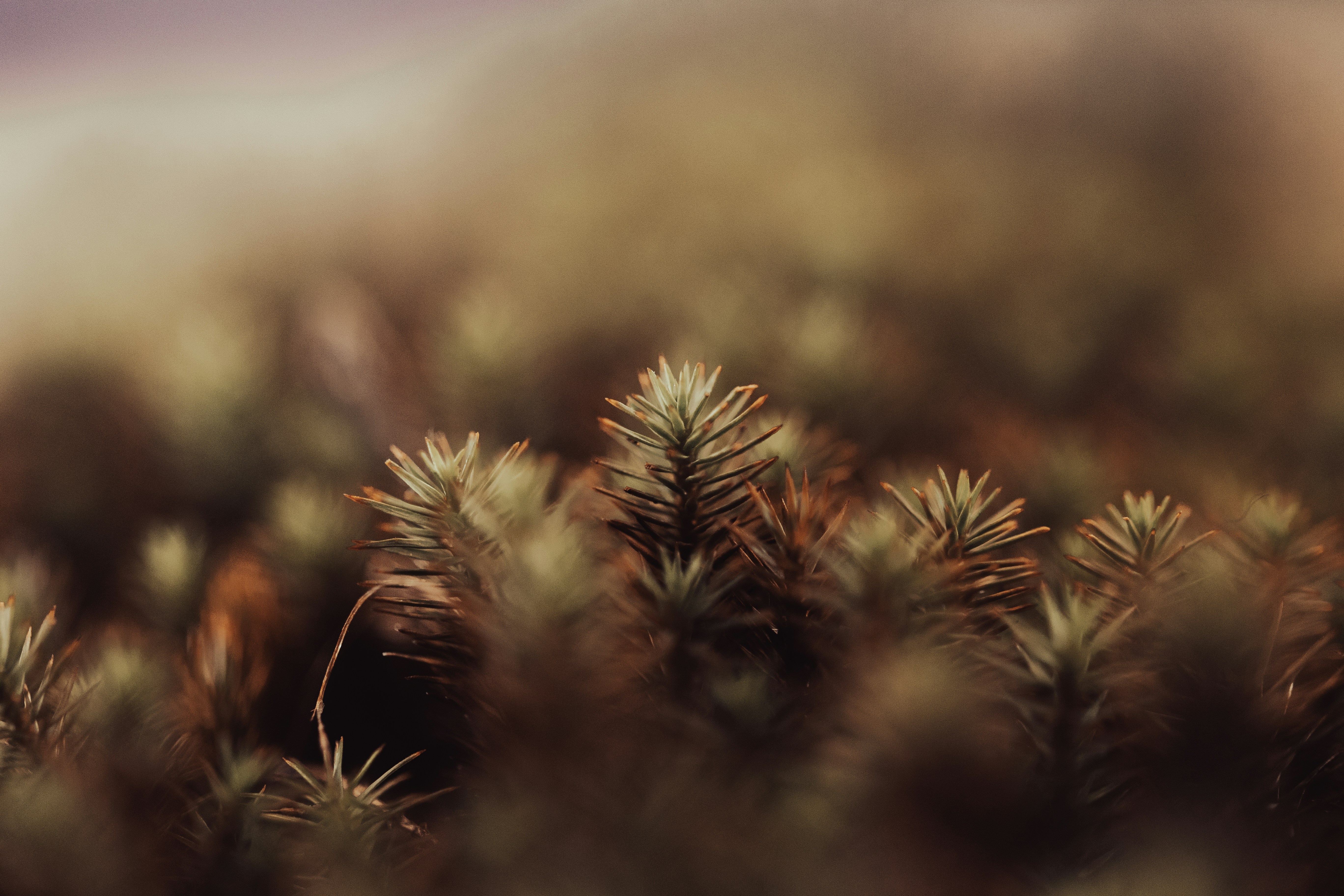 Photo by kamekichi_photos