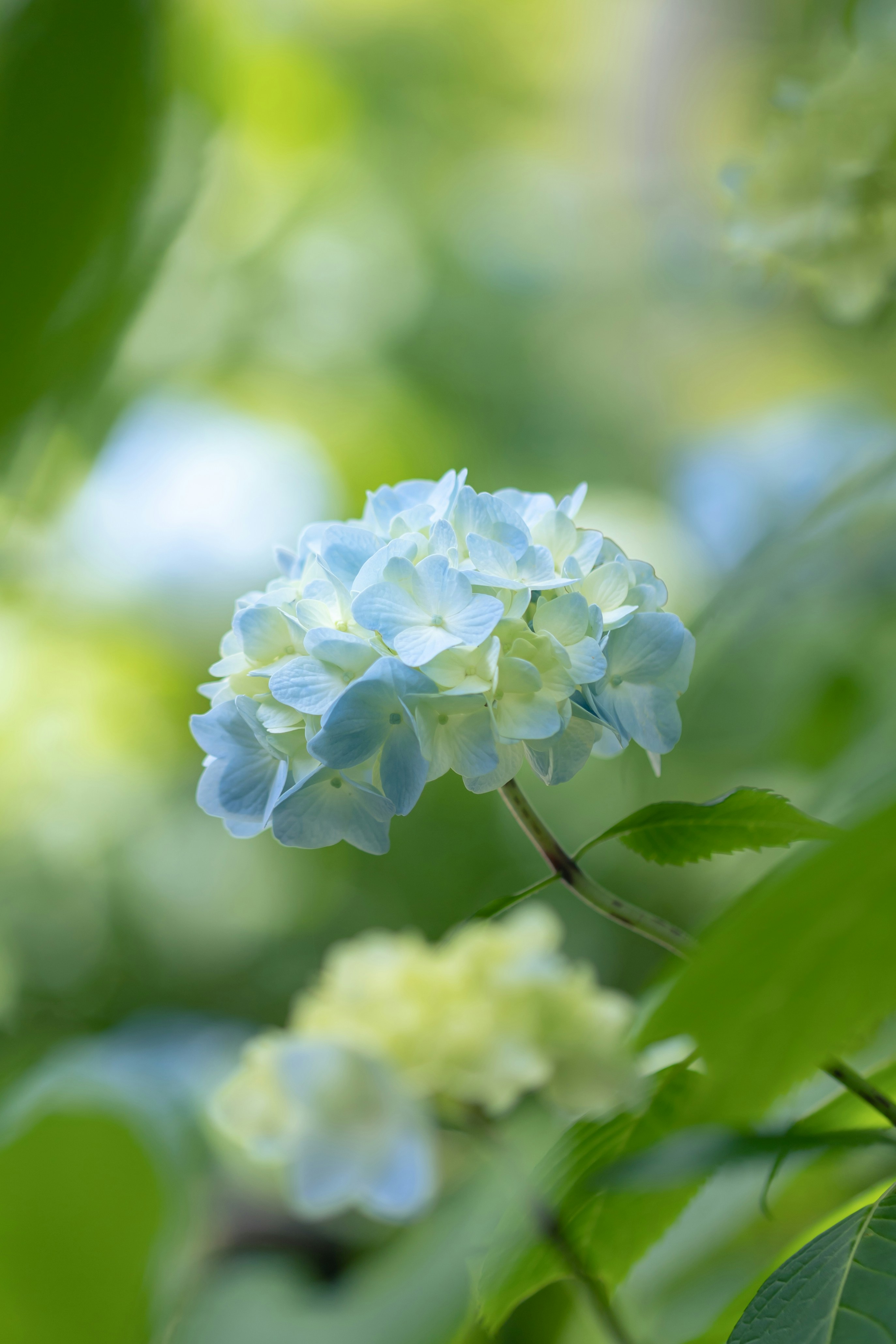 Photo by kamekichi_photos