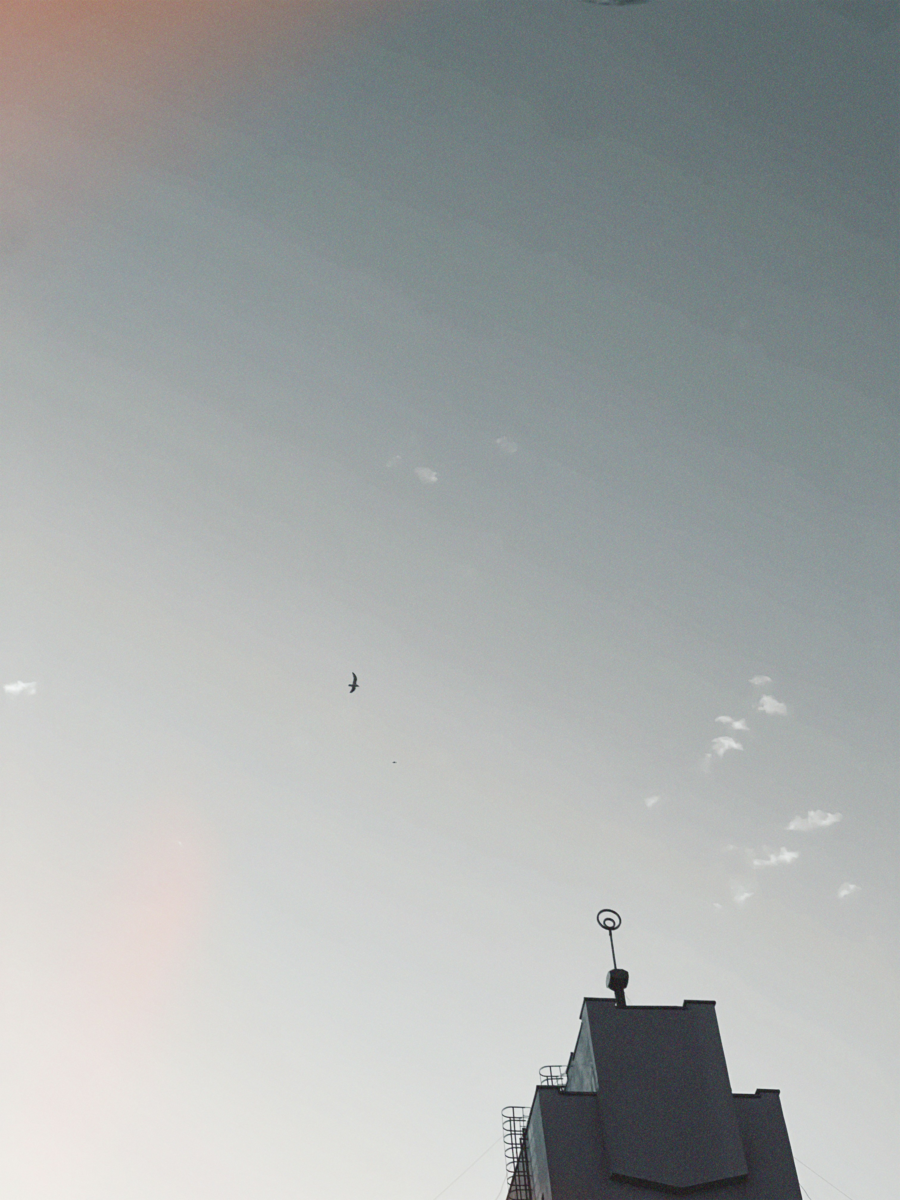 Photo by inna_lobacheva