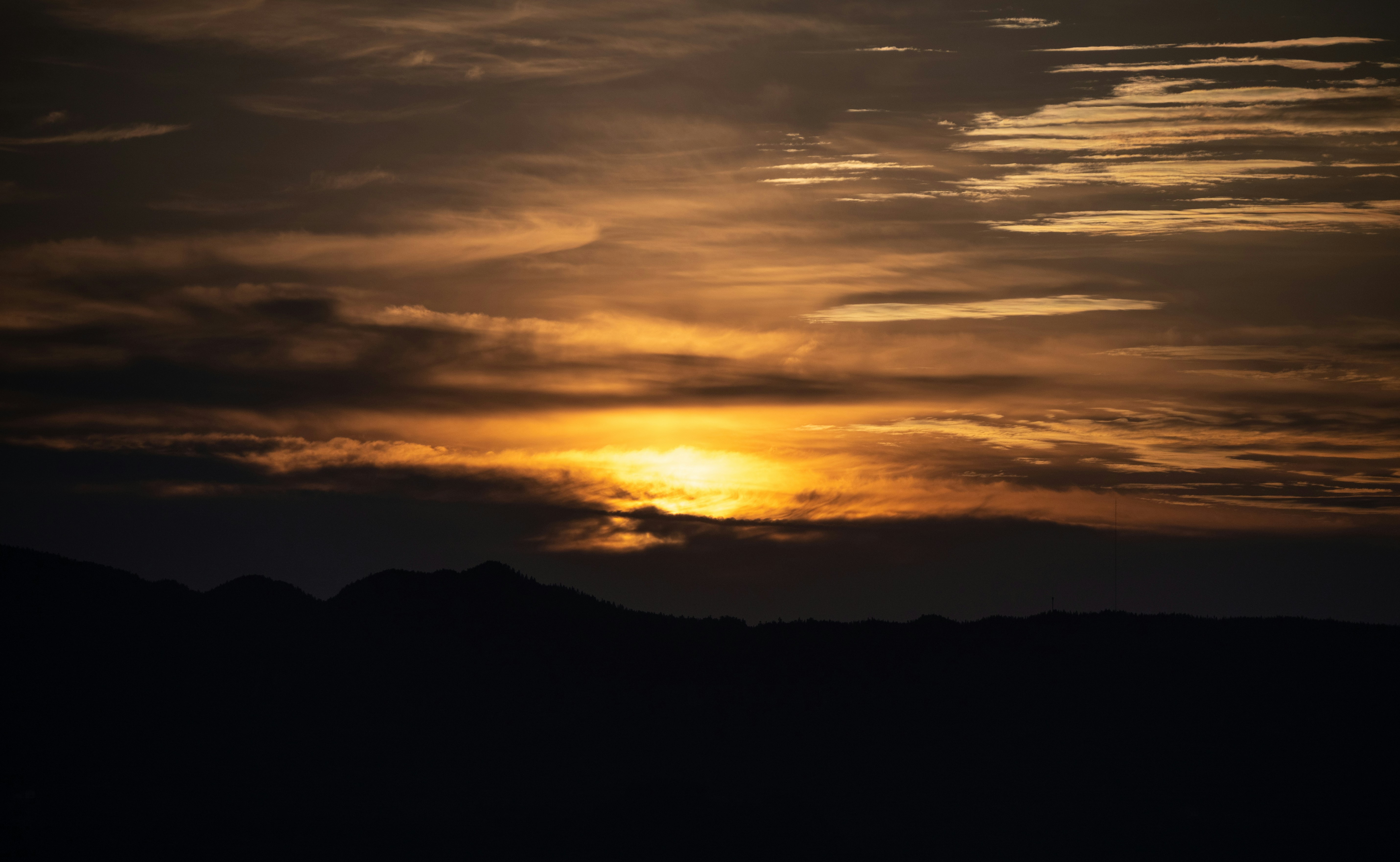 Photo by nikol_royce