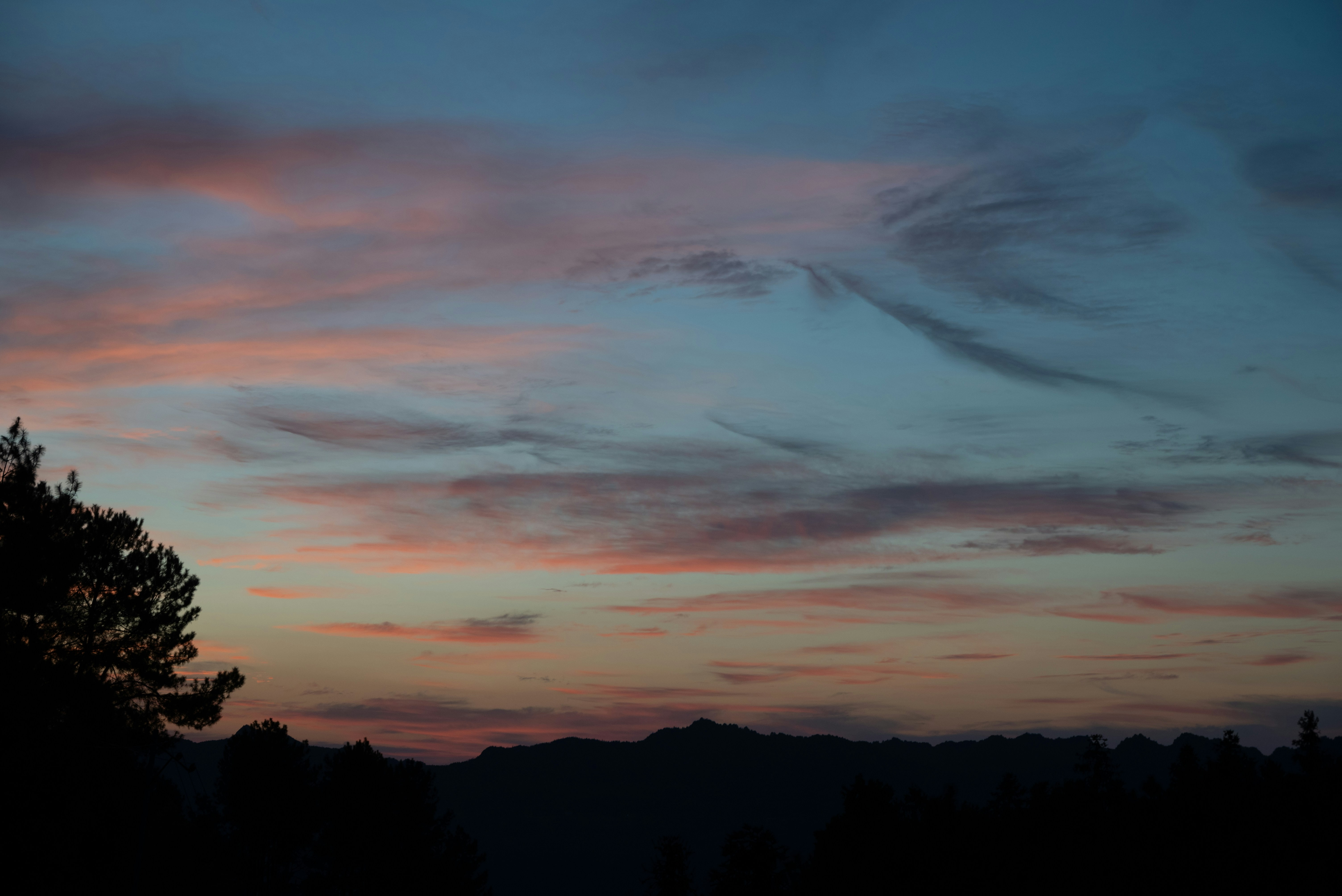 Photo by nikol_royce