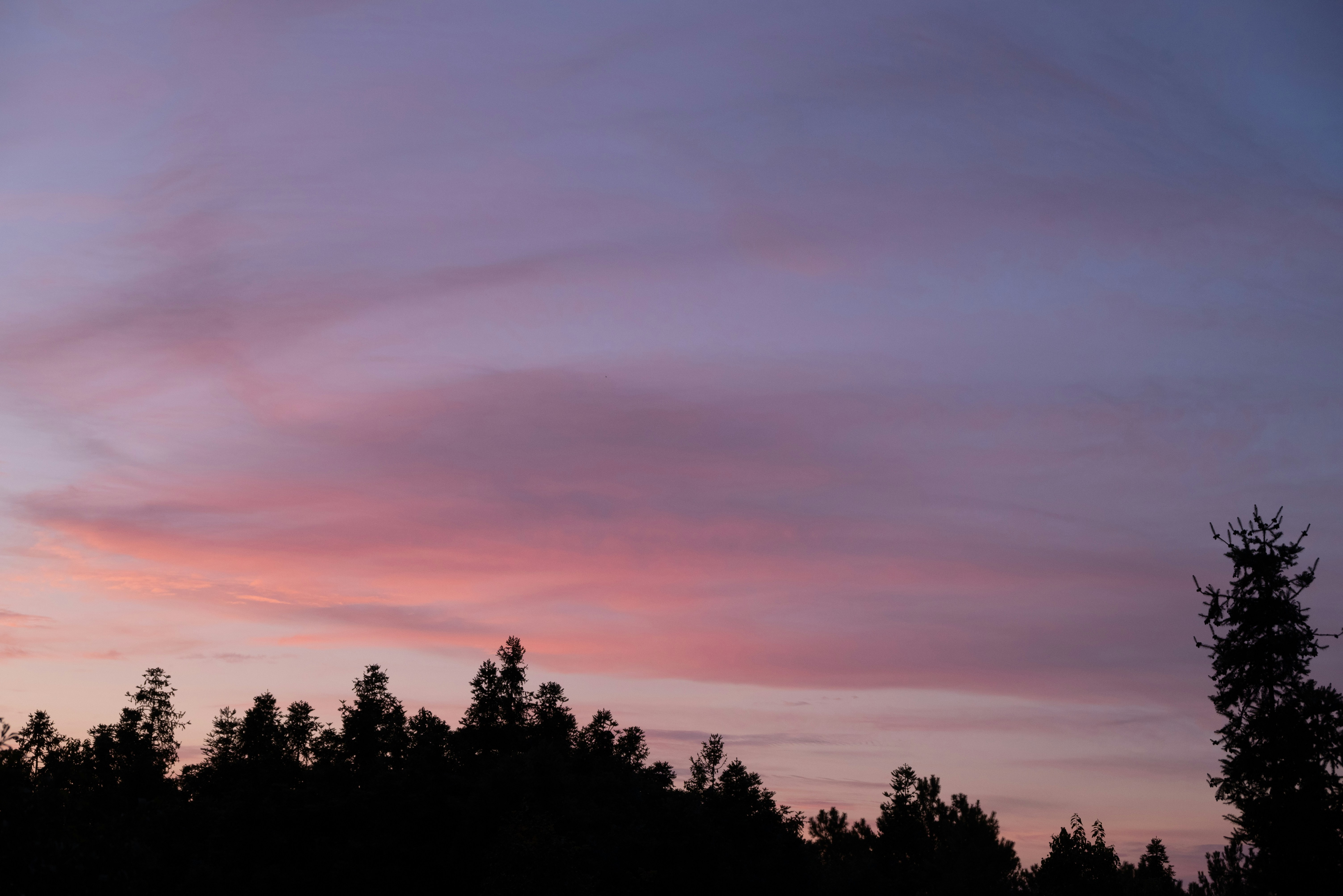 Photo by nikol_royce