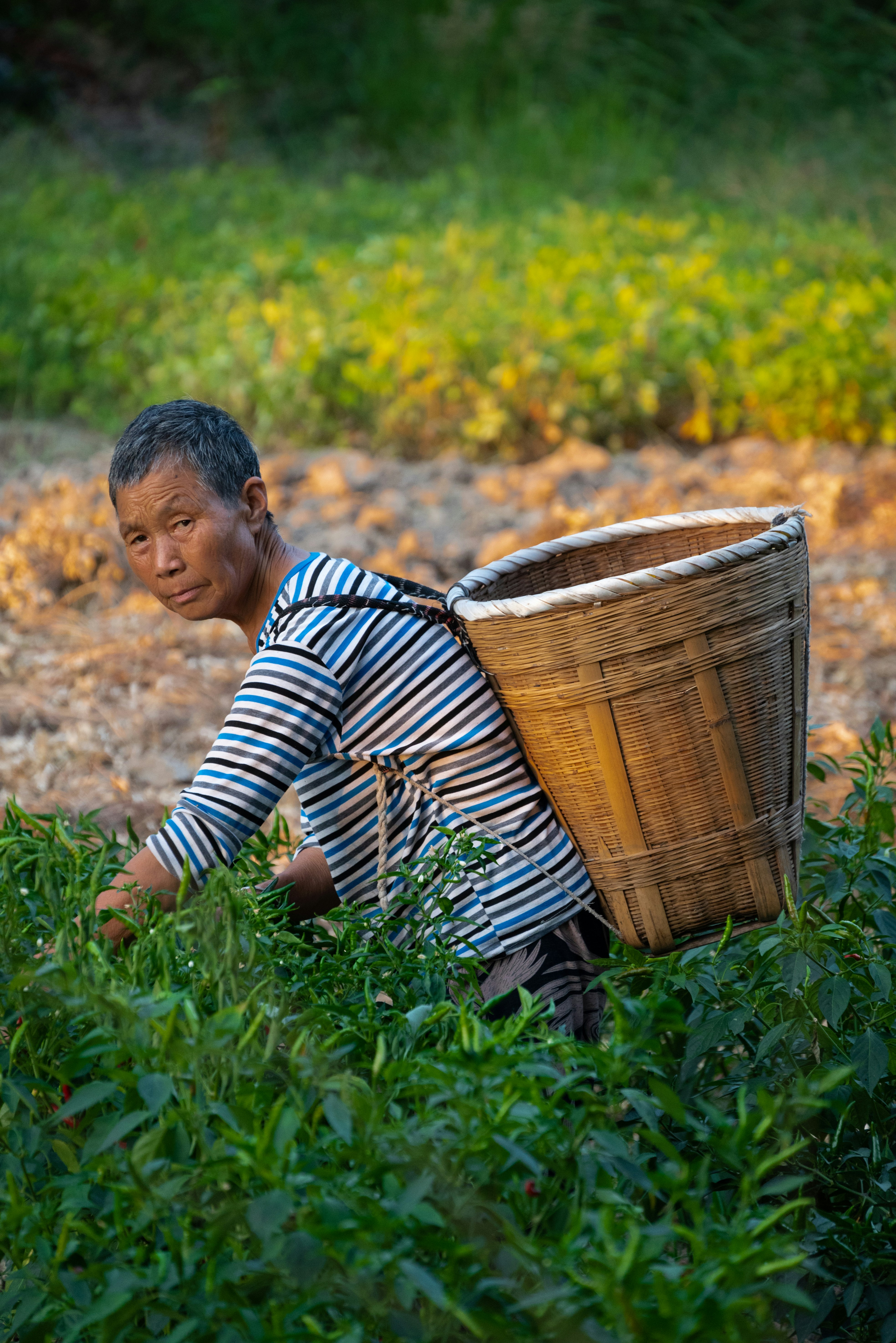 Photo by nikol_royce